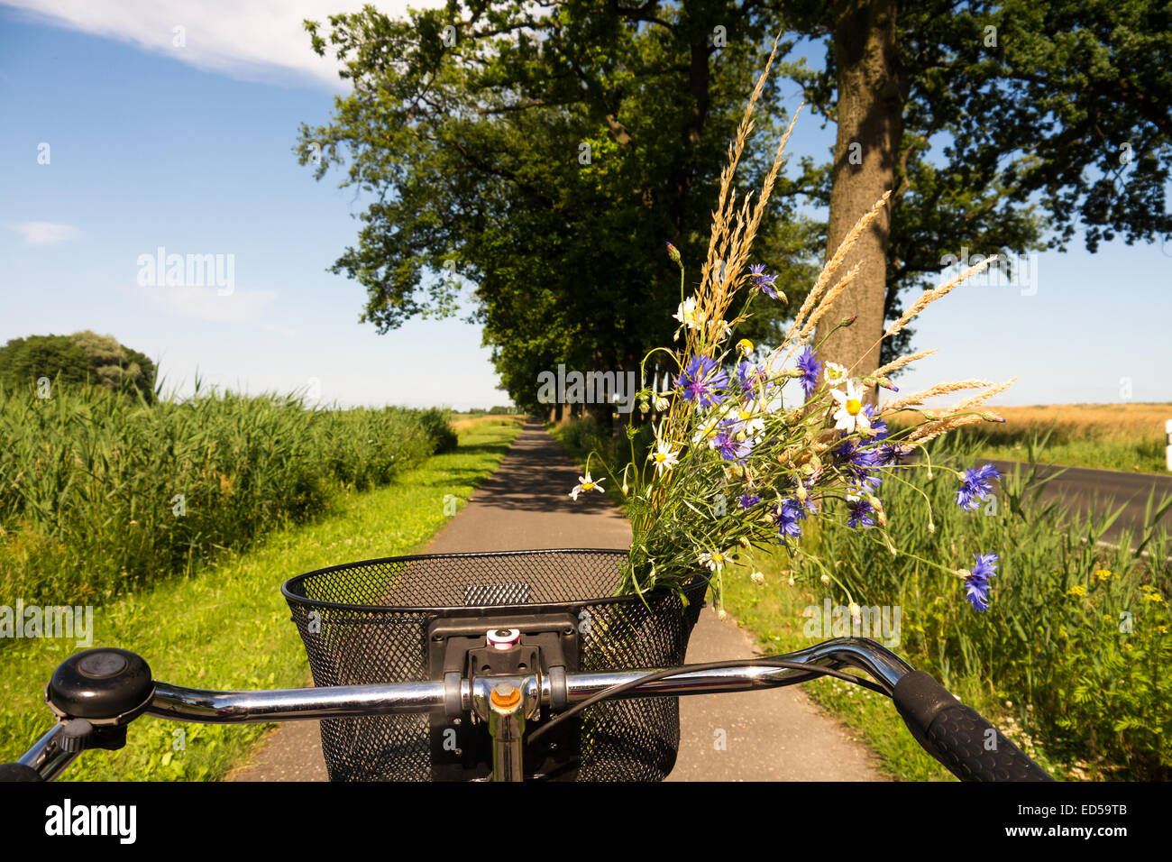 cycling on a way in landscape in summer time Stock Photo