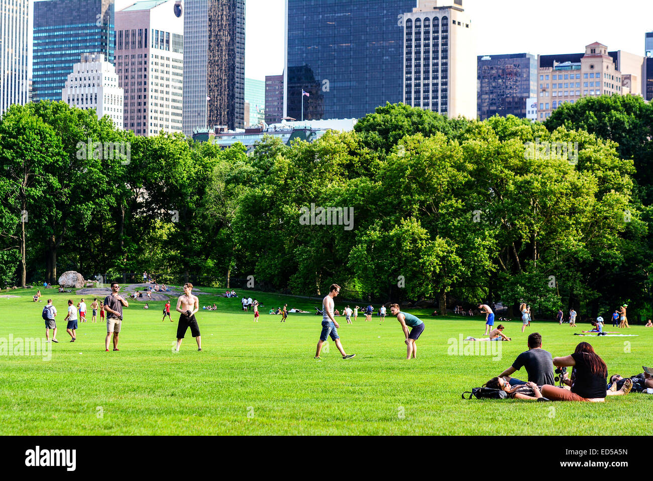 Sheep Meadow, Central Park, Manhattan, New York City, USA. Popular with sunbathers and tourist. Stock Photo
