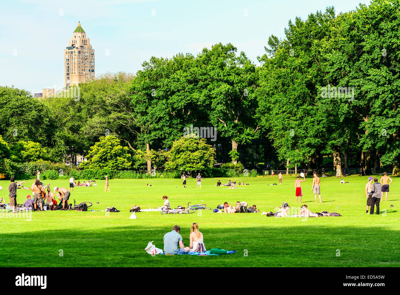 Sheep Meadow, Central Park, Manhattan, New York City, USA. Popular with ...