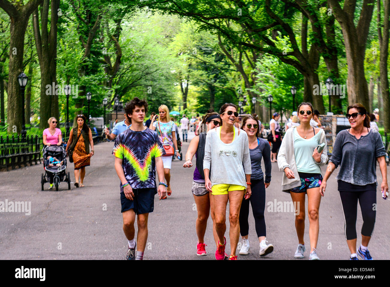 The Mall is a very popular bridle path in Central Park, Manhattan, New York City, USA Stock Photo