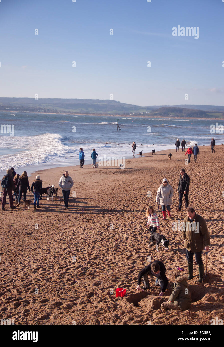Exmouth sands hires stock photography and images Alamy