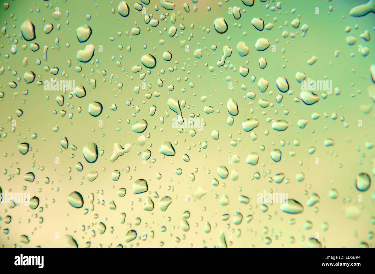abstract green color background with drop water Stock Photo - Alamy