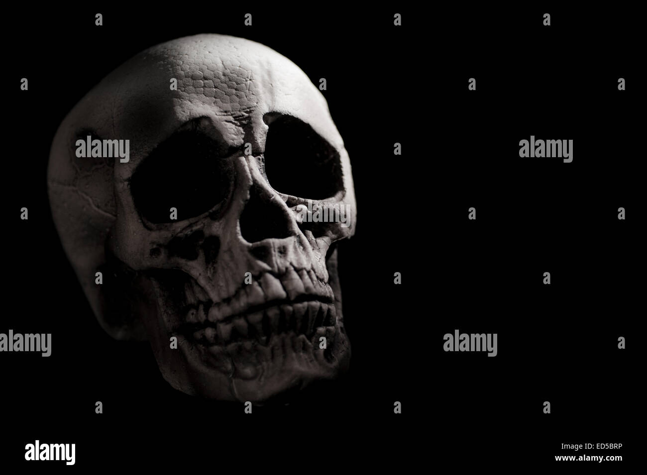 Dark Human Skull Stock Photo