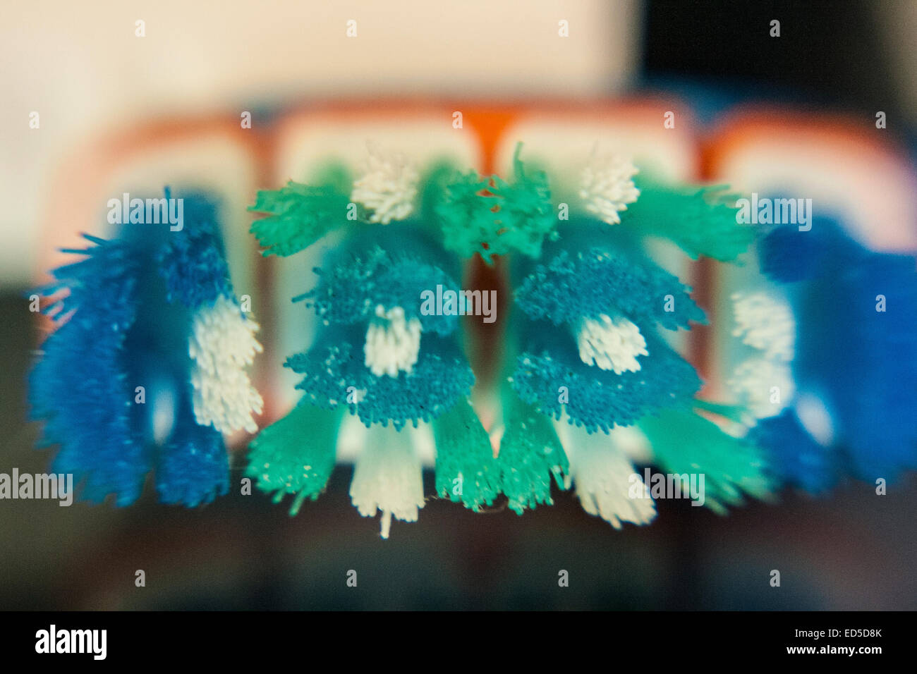 Toothbrush with bristles hi-res stock photography and images - Alamy