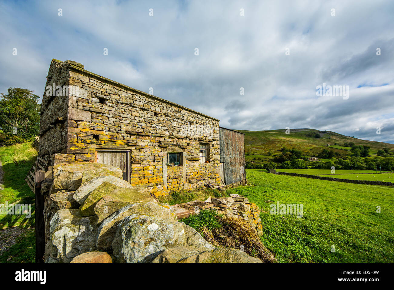 This is a Swaledale barn as seen on the walk from Muker to Keld in the Yorkshire Dales National Park, North Yorkshire. Swaledale Stock Photo