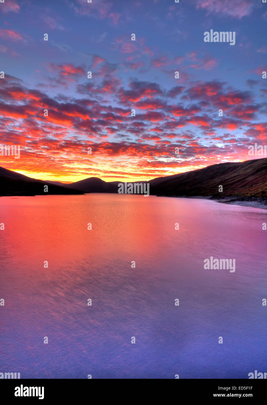 One of the major benefits of having a VW Camper Van is being on