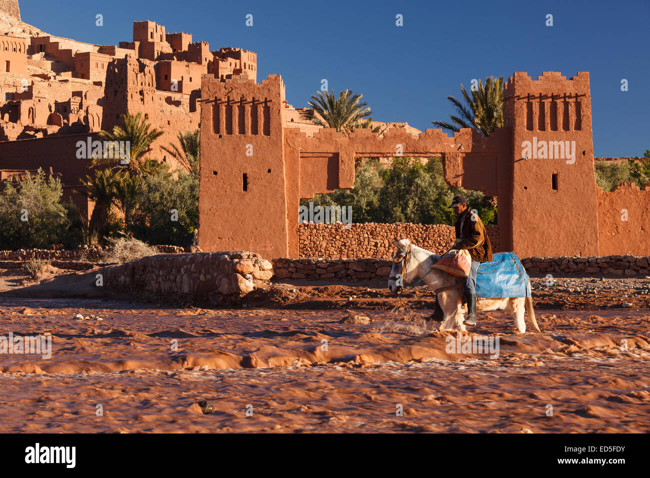 Donkey and Ait ben haddou. Atlas mountian. Morocco. North Africa. Africa Stock Photo