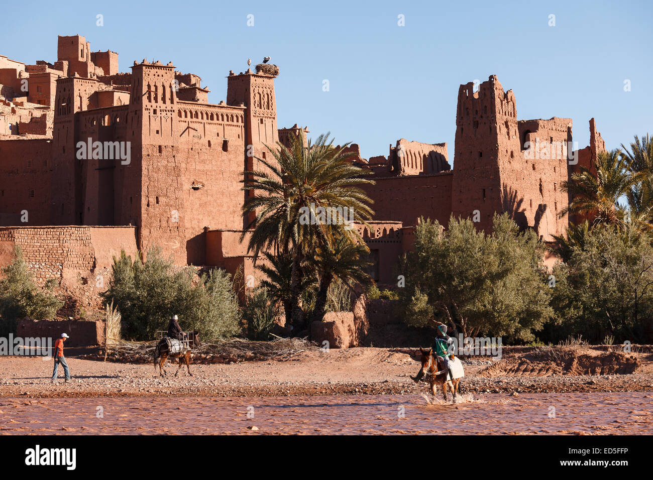 Donkey and Ait ben haddou. Atlas mountian. Morocco. North Africa. Africa Stock Photo