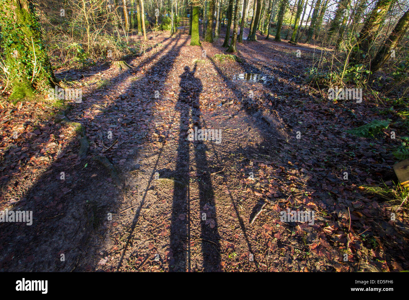 Tripod shadows the sun hi-res stock photography and images - Alamy