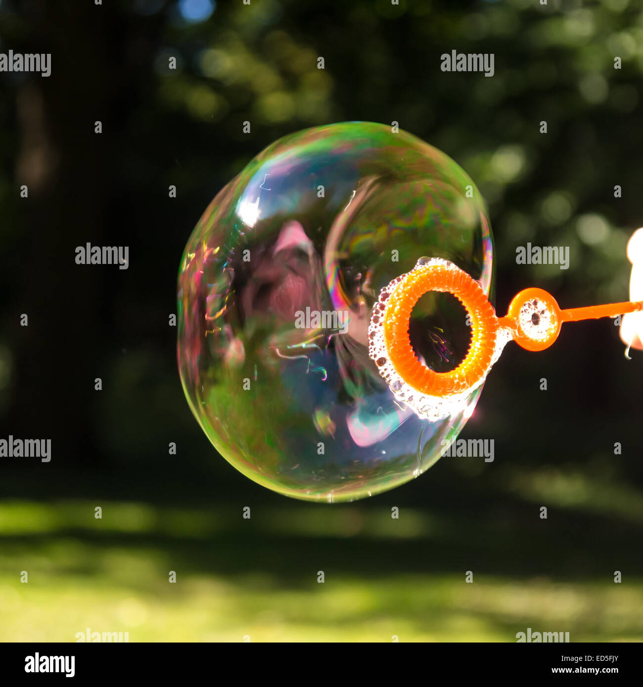 soap bubble in park in summer Stock Photo