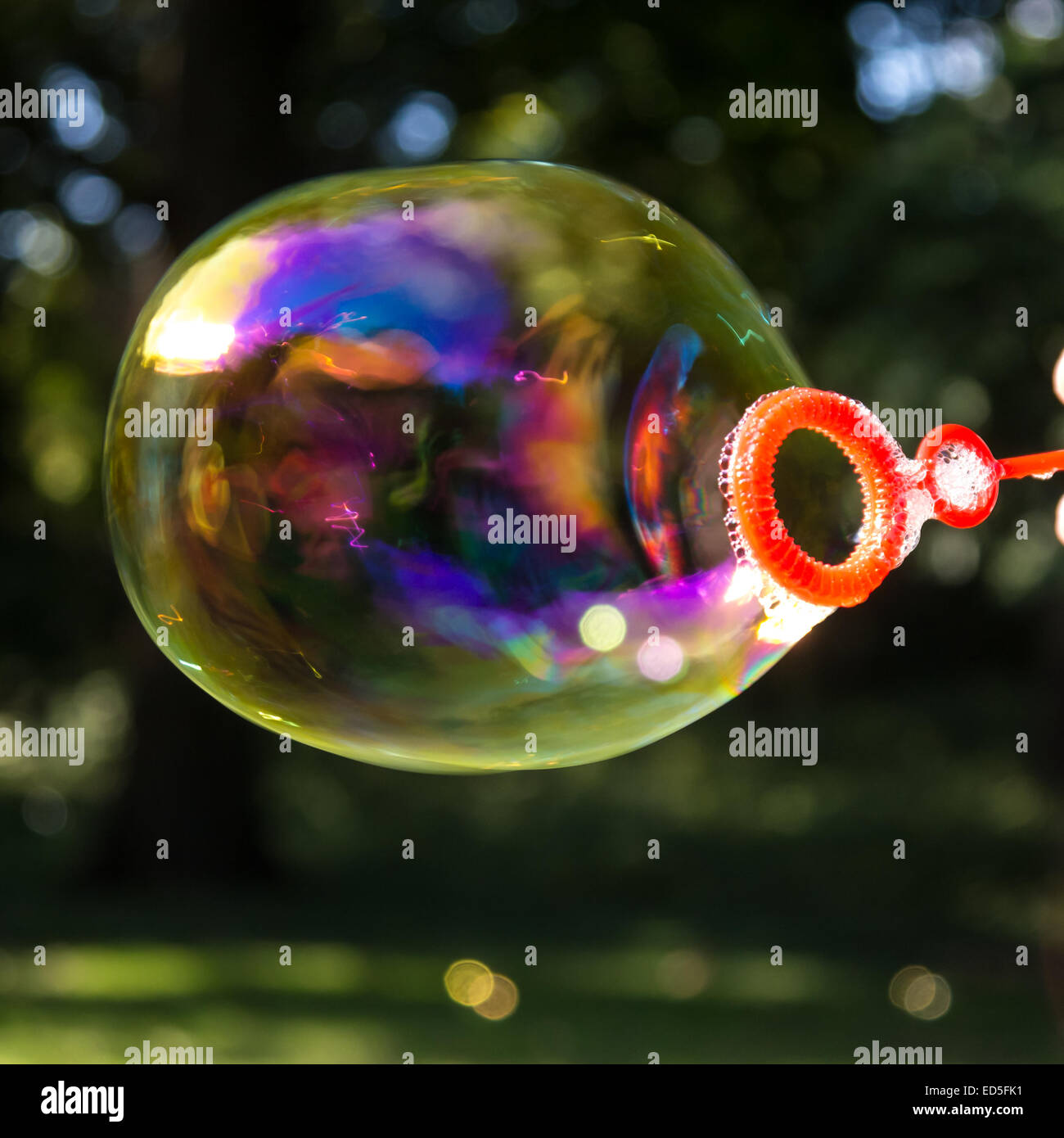 soap bubble in park in summer Stock Photo