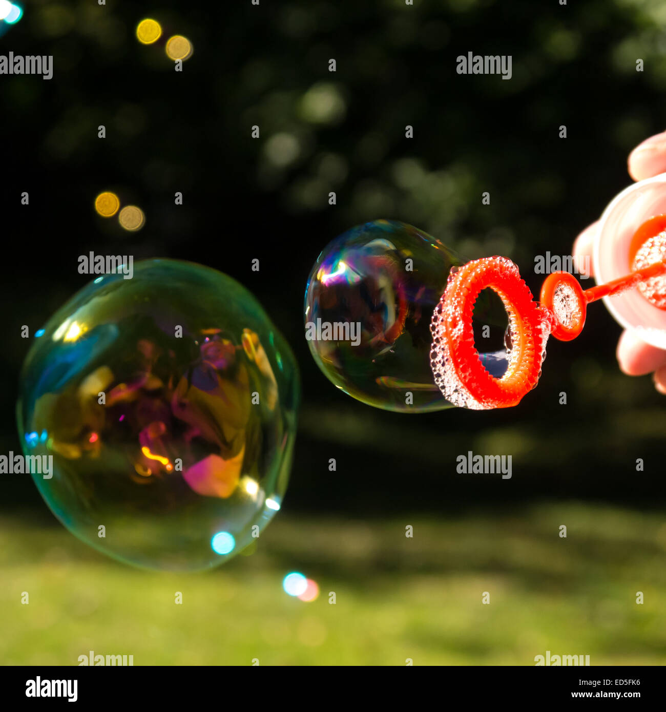 soap bubble in a park in summer Stock Photo