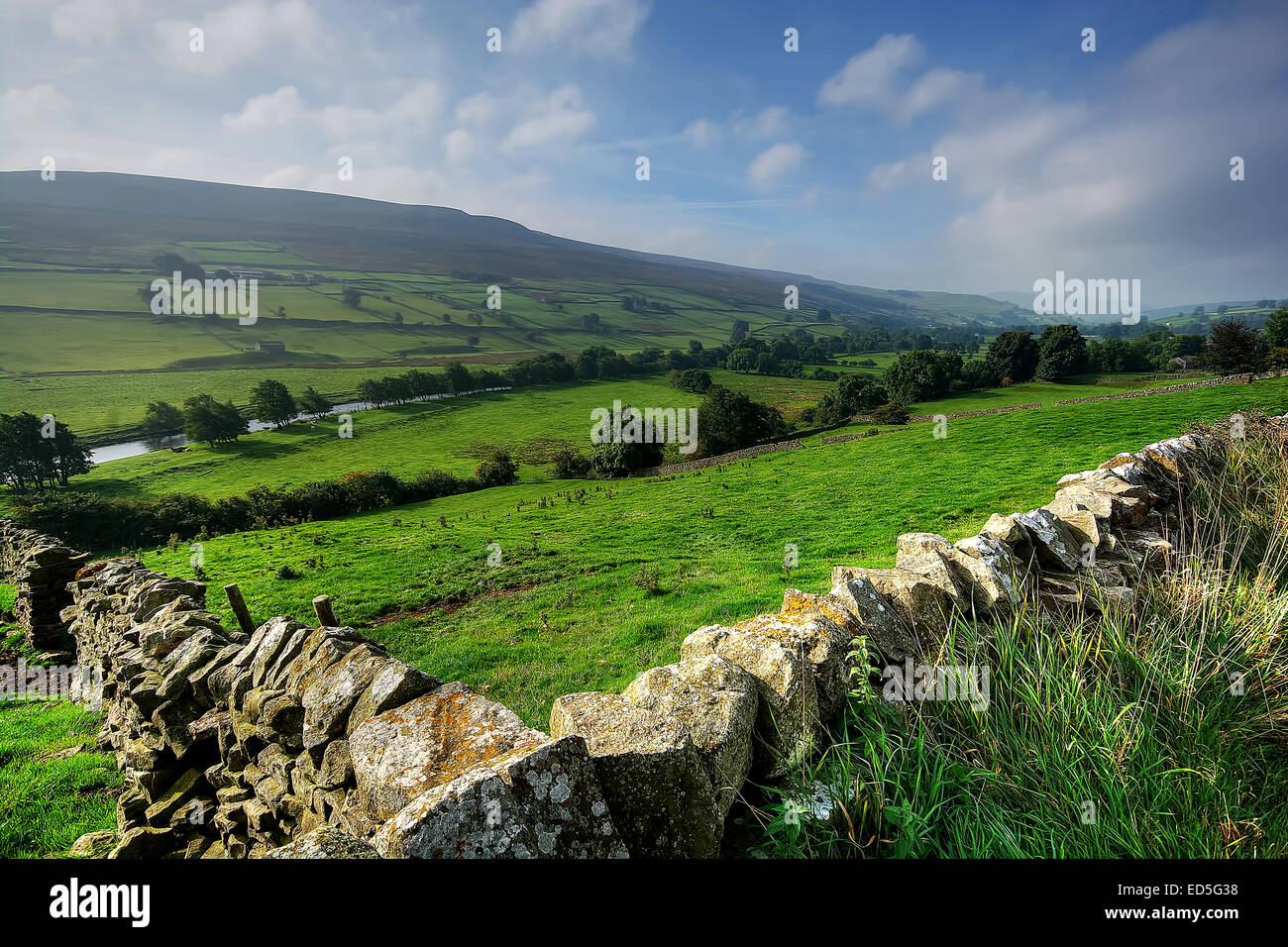The views looking down Swaledale in the Yorkshire Dales National Park, North Yorkshire towards Healaugh. Swaledale Canvas. Swale Stock Photo