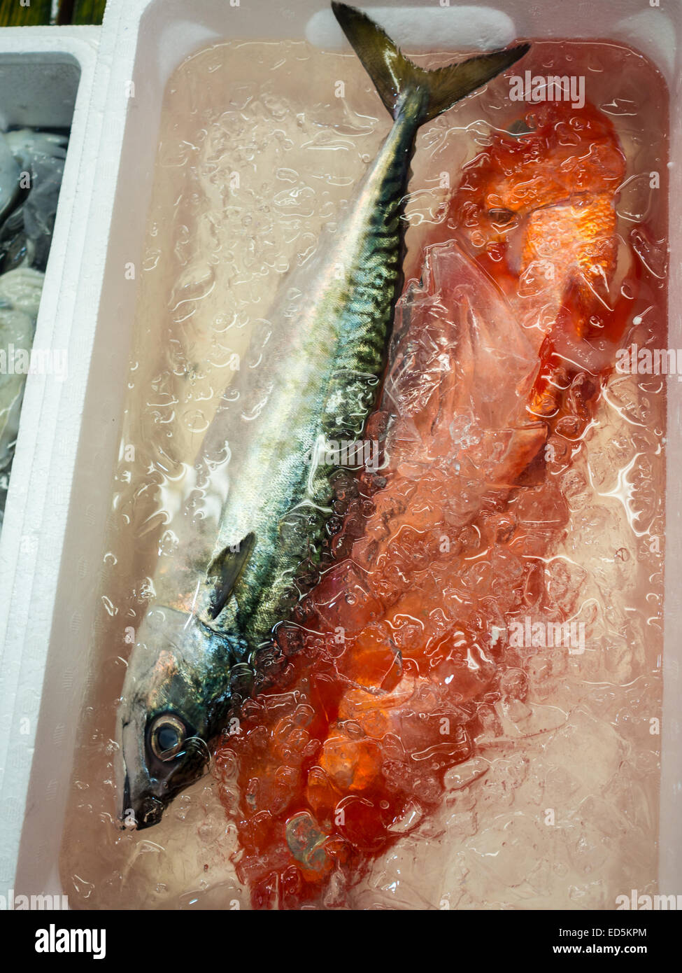 fish box' hi-res stock photography and images - Alamy
