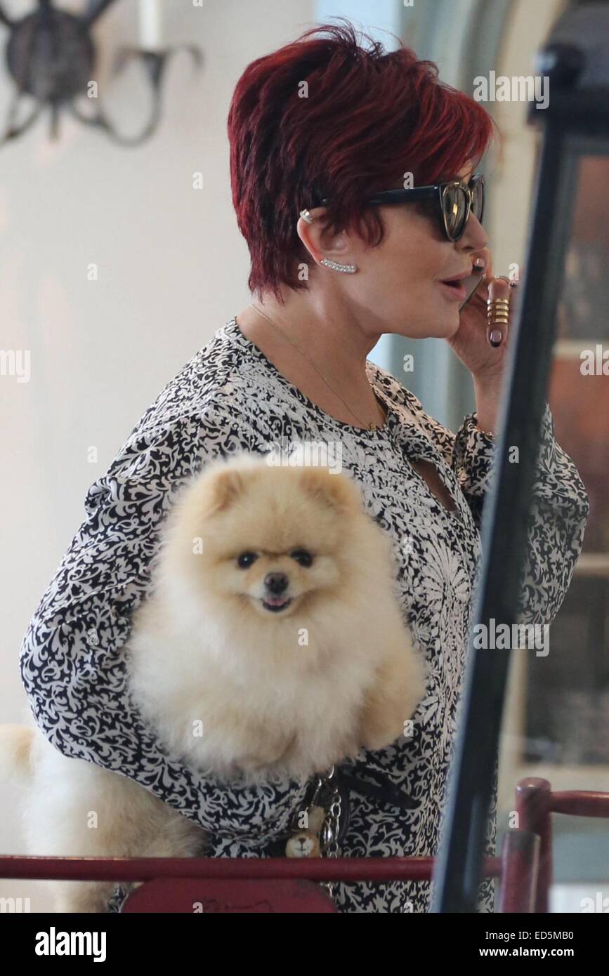 Sharon Osbourne walks to her car with her Pomeranian pet dog after