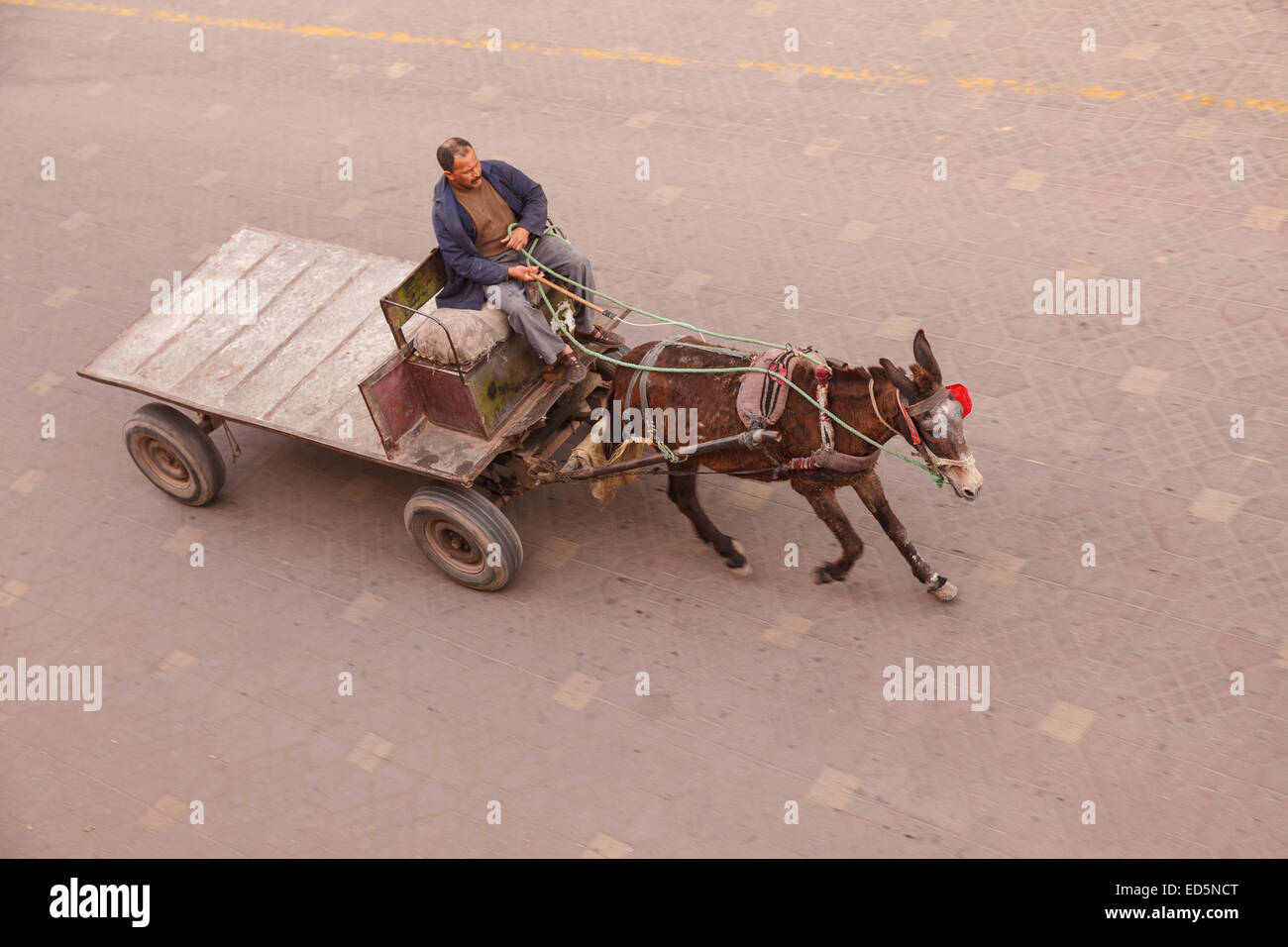 Donkey. Street. Marrakech, Morocco. North Africa, Africa Stock Photo