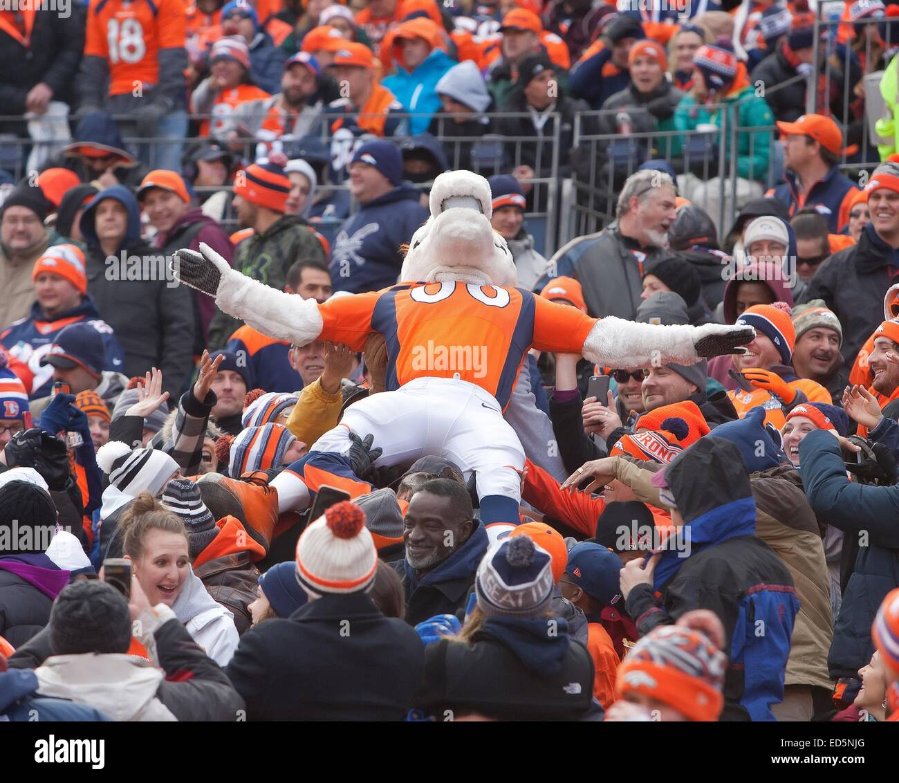 Denver, Colorado, USA. 28th Dec, 2014. Broncos Mascot Miles, center, gets passed around in the crowd during the 1st. half at Sports Authority Field at Mile High Sunday afternoon. Broncos beat the Raiders 47-14. Credit:  Hector Acevedo/ZUMA Wire/Alamy Live News Stock Photo