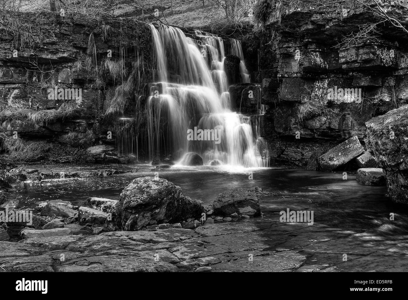 East Gill Force lies 2 miles east of Keld in Swaledale in the Yorkshire Dales National Park, North Yorkshire. Swaledale Canvas.  Stock Photo