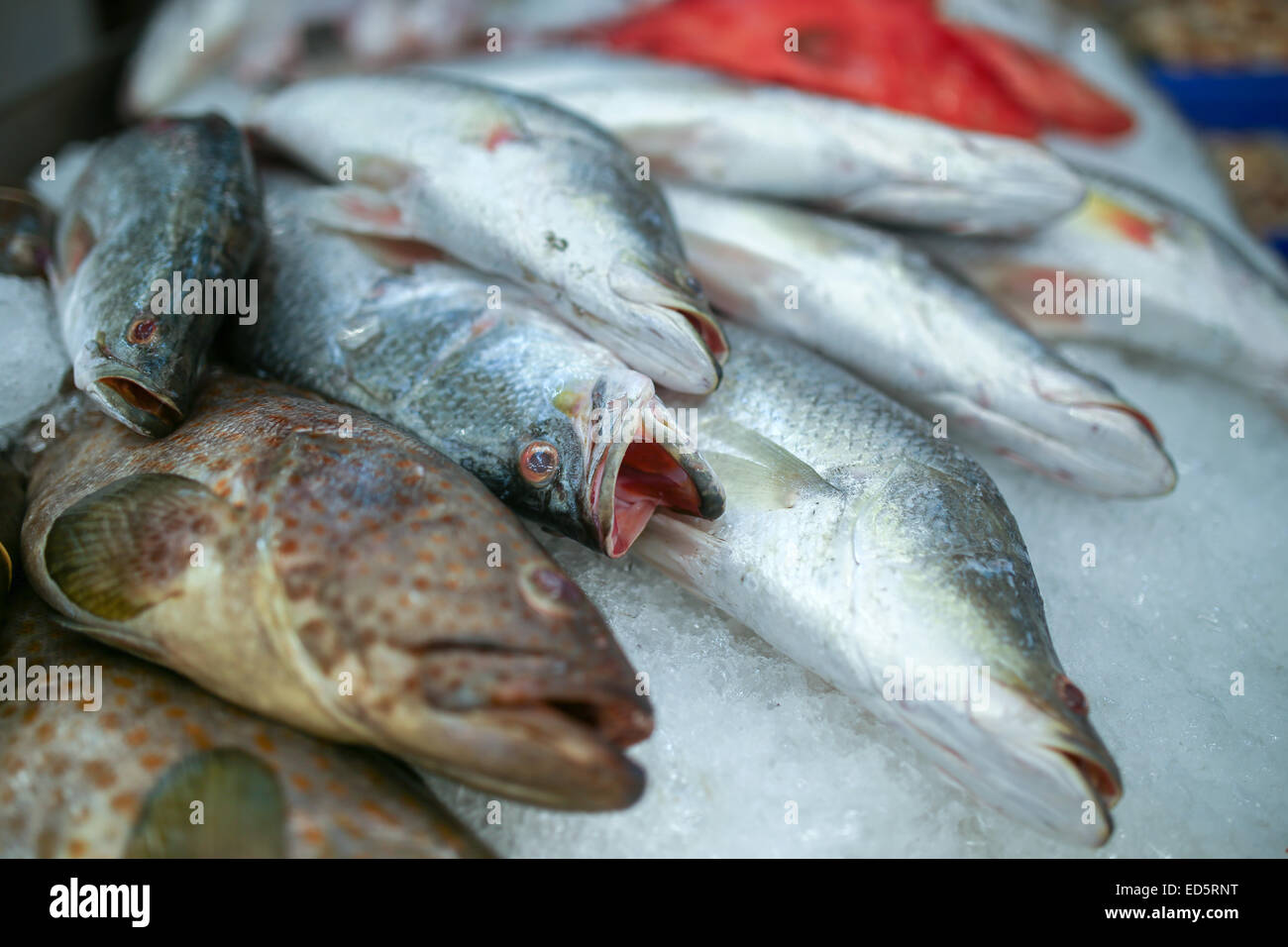 fresh fish on ice in market Stock Photo - Alamy