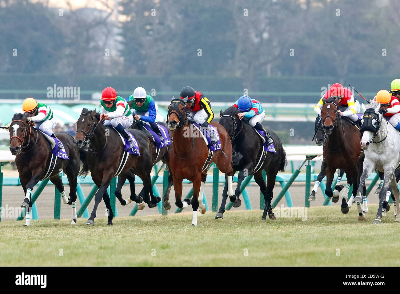 Funabashi, Chiba, Japan. 28th Dec, 2014. Gentildonna (Keita Tosaki) Horse Racing : Arima Kinen at Nakayama Racecourse in Funabashi, Chiba, Japan . © Nakahara Yoshifumi/AFLO/Alamy Live News Stock Photo