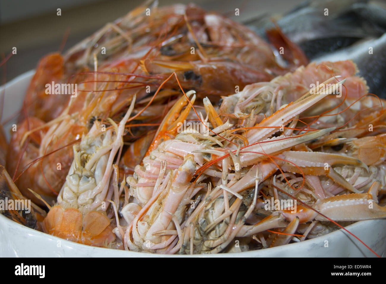 typical and traditional mediterranean fish langoustines , prawns and