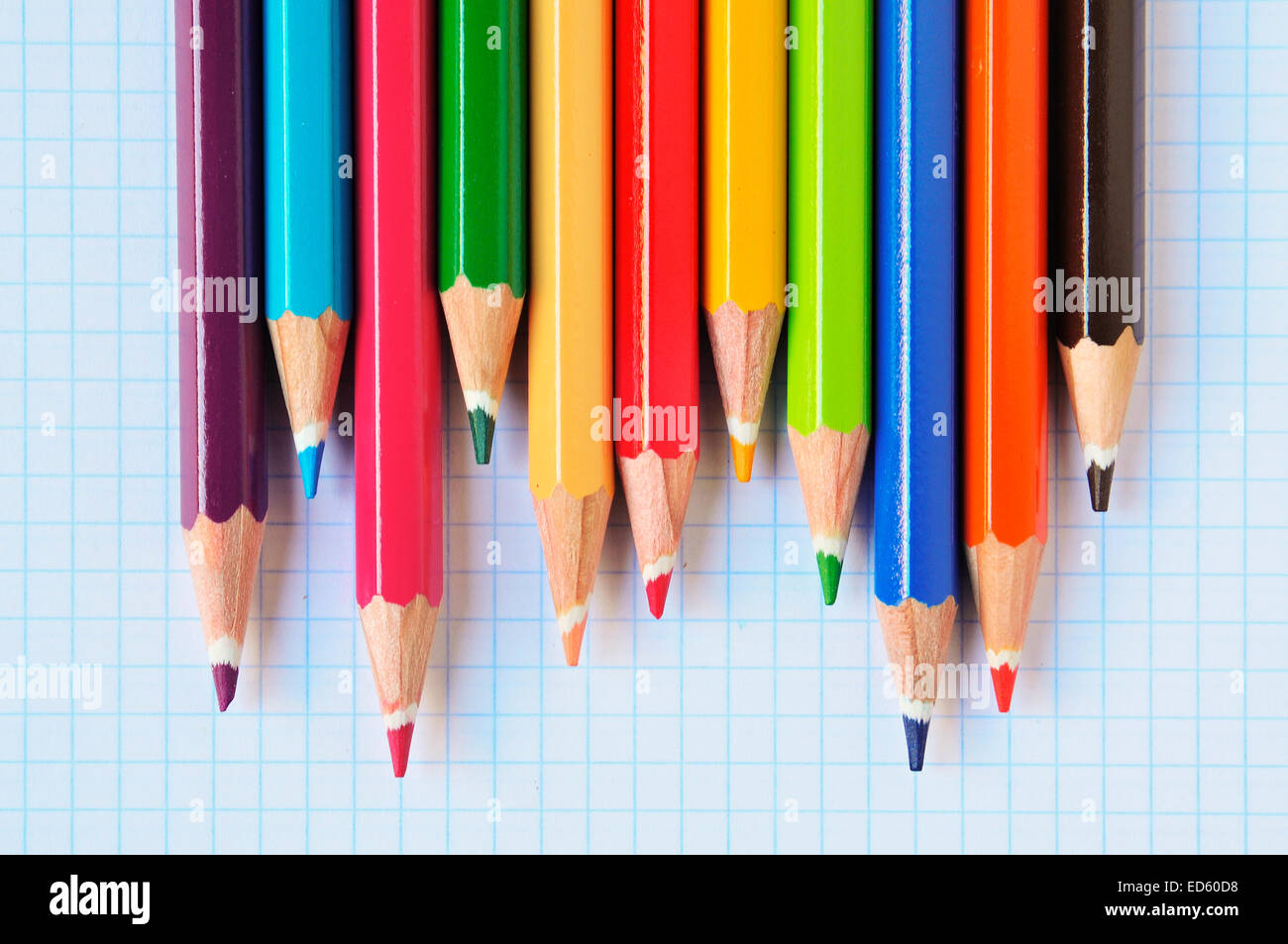 closeup of some wooden coloured pencils of different colors on a checkered paper background Stock Photo