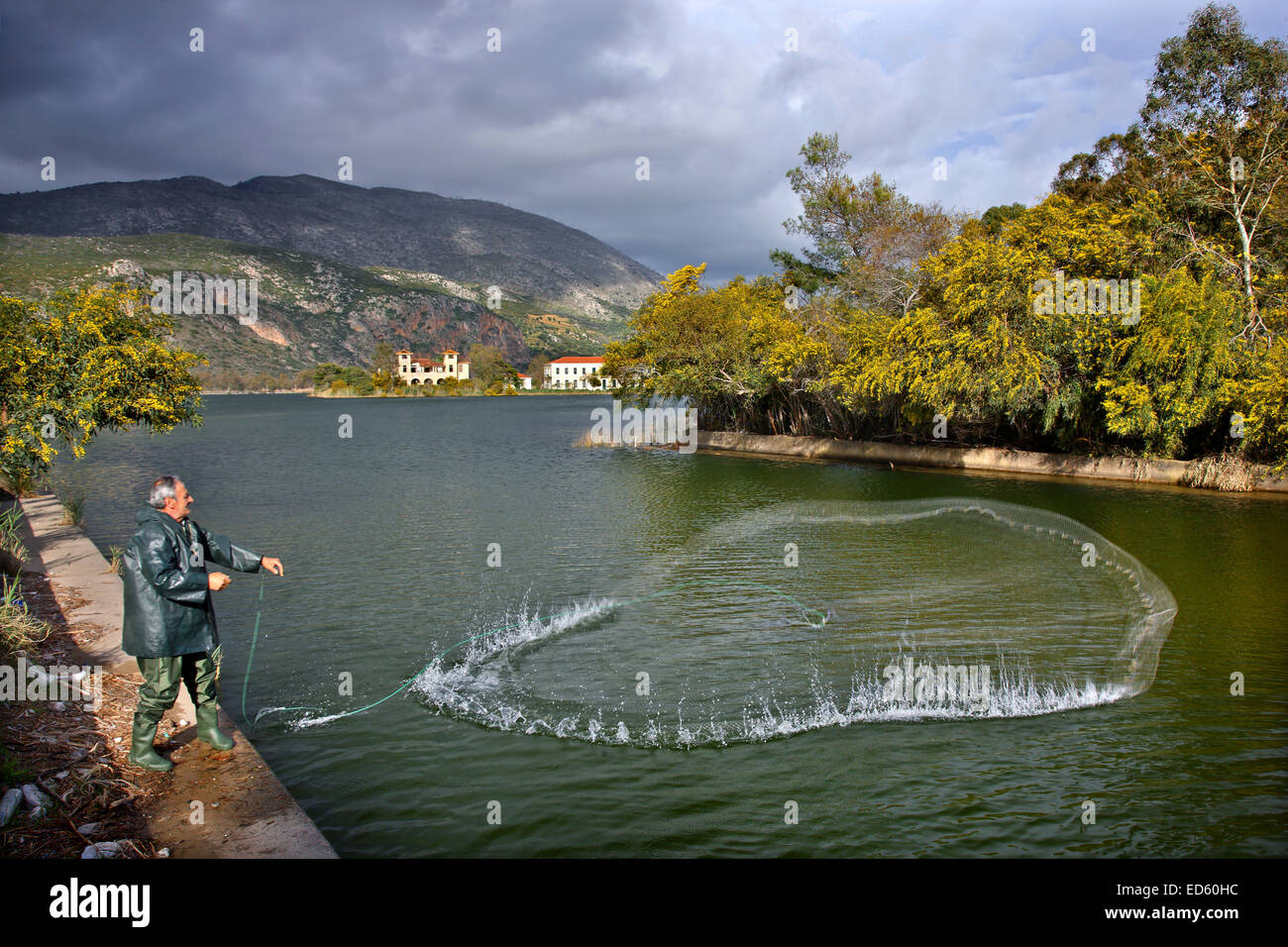 Traditional way of fishing called 'pezovolo' (or 'bizovolo'), at lake Kaiafas,  Zacharo, Ileia, Peloponnese, Greece Stock Photo