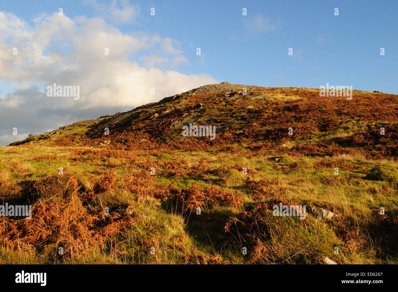 Garn Goch Iron Age hill fort Bethlehem Llandeilo Carmarthenshire Wales Cymru UK GB Stock Photo