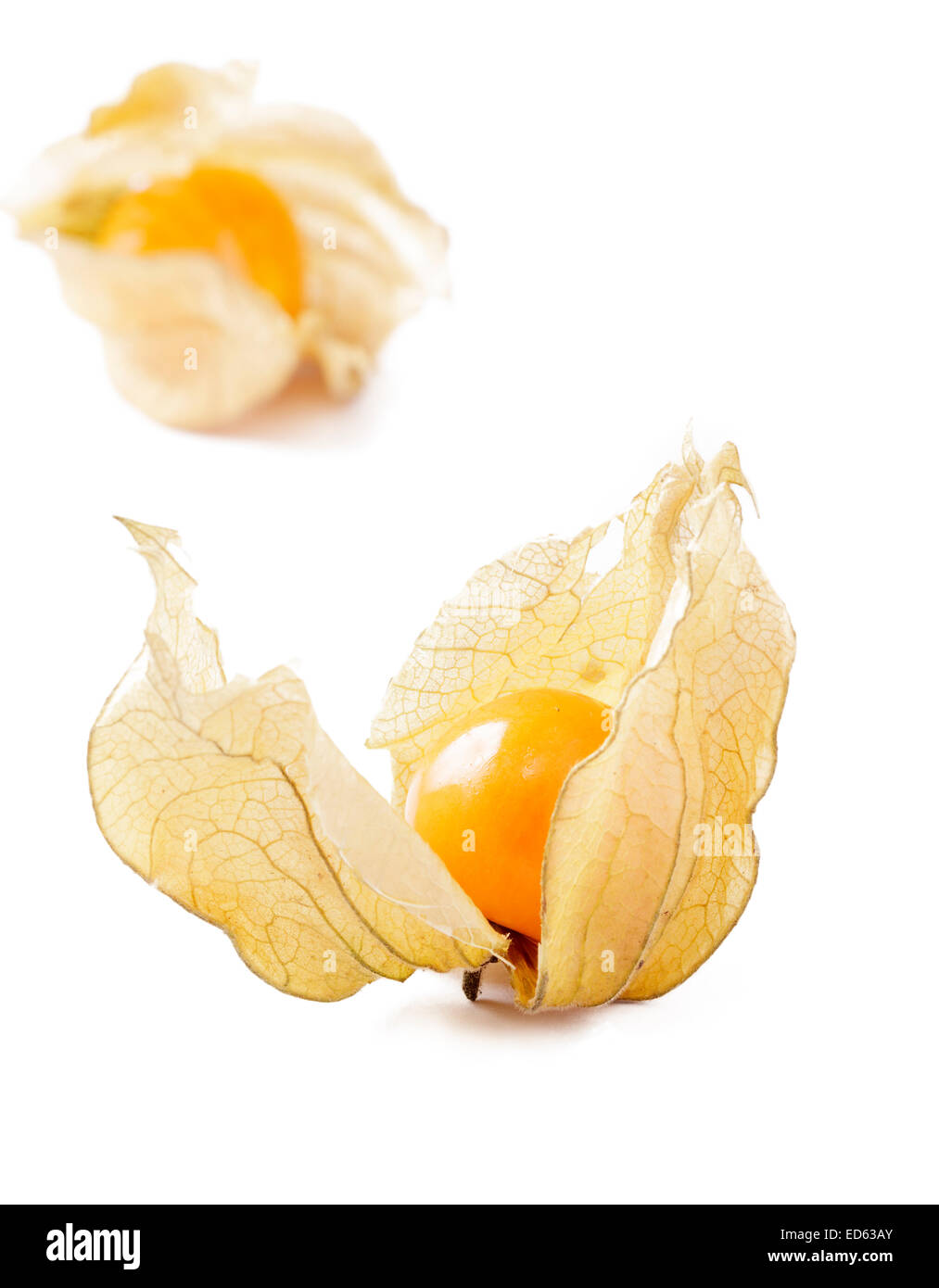 Gooseberry cut hi-res stock photography and images - Alamy
