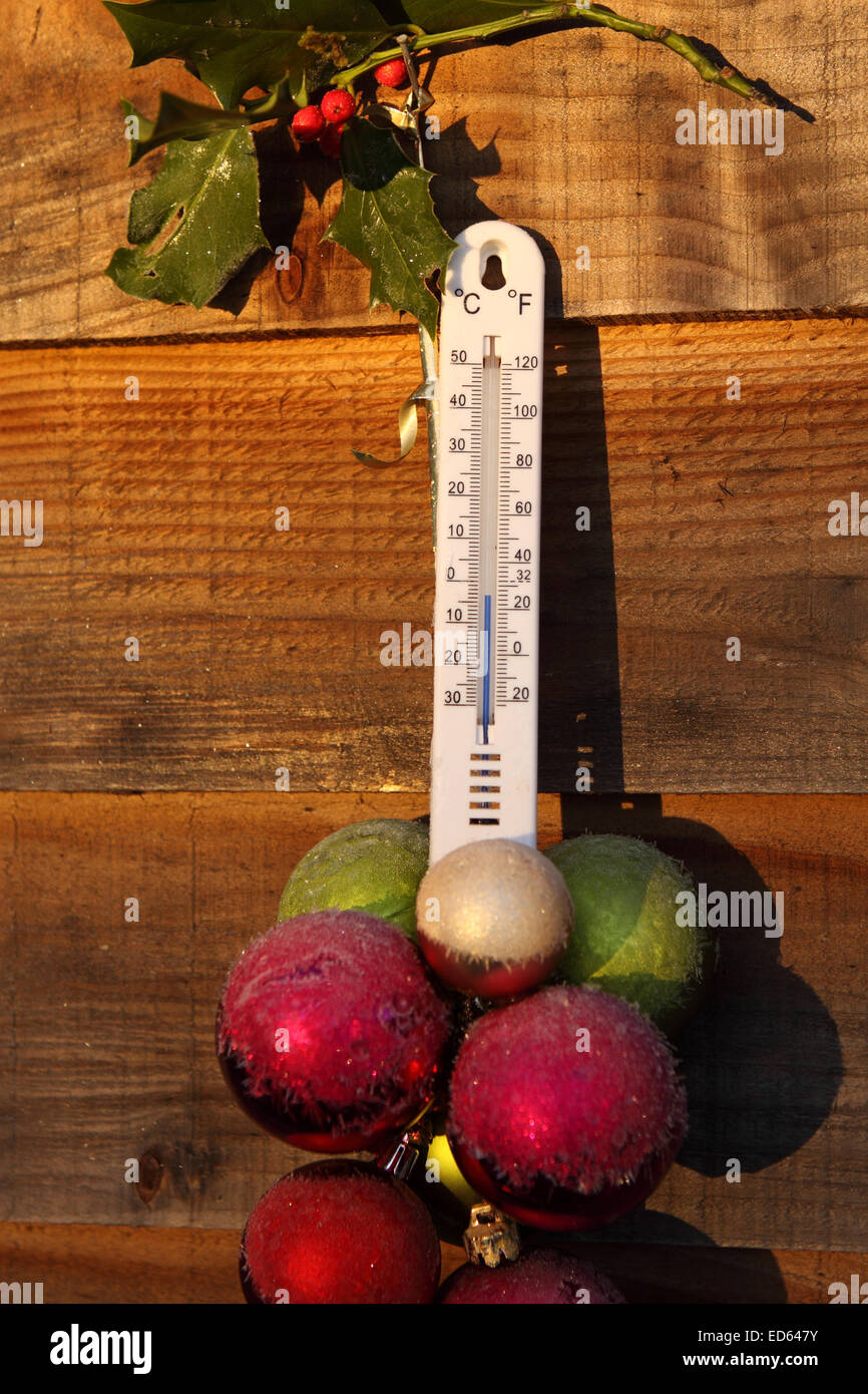 Thermometer To Measure The Temperature Afforded In The Garden, Hanging On  The Branches. Stock Photo, Picture and Royalty Free Image. Image 25093129.