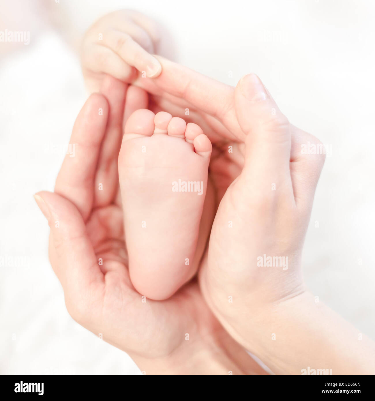 baby foot in mother's hands with care Stock Photo