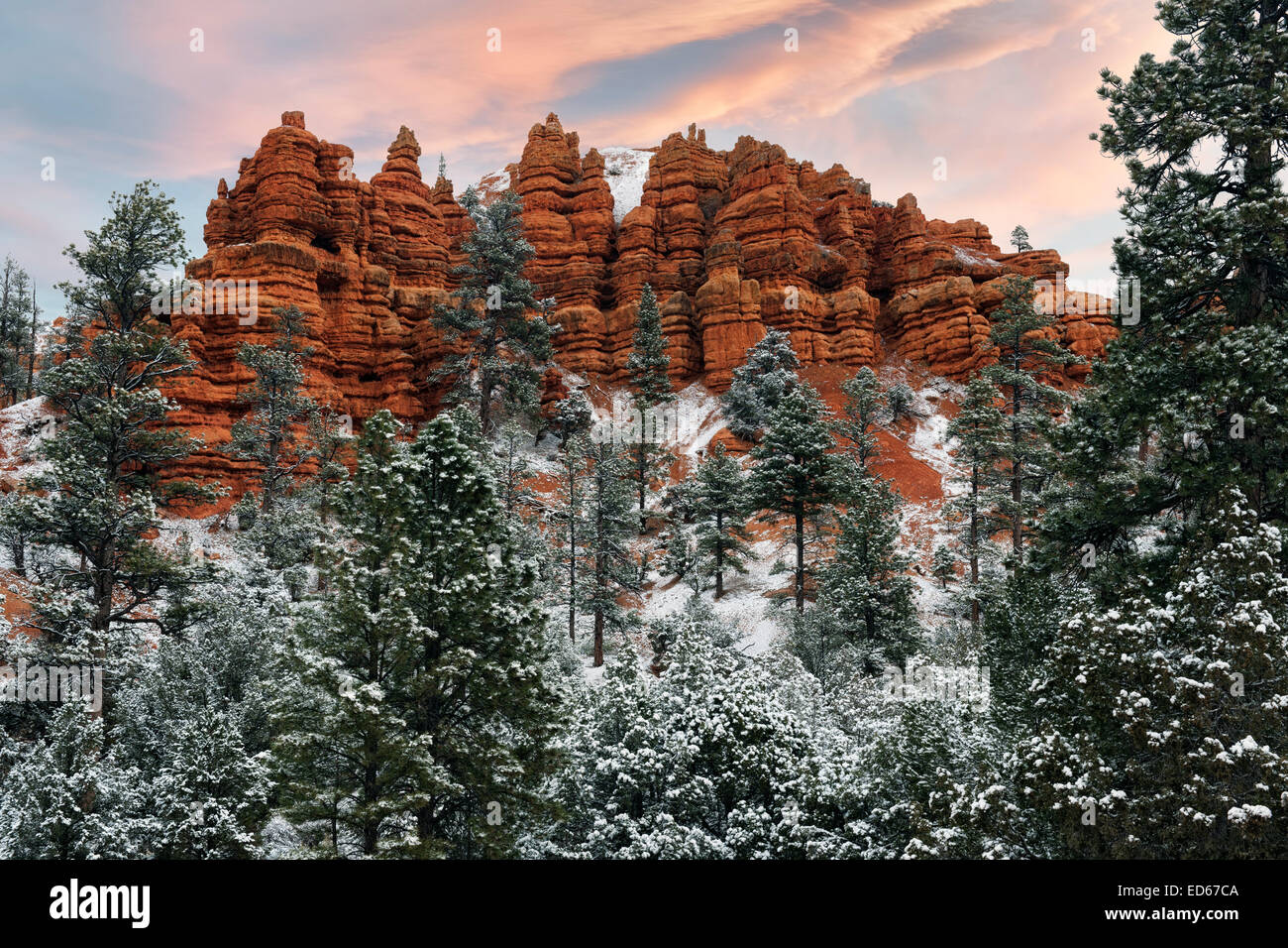 Autumn snowfall adds to the beauty of Red Canyon in Utah's Dixie National Forest and near Bryce Canyon National Park. Stock Photo
