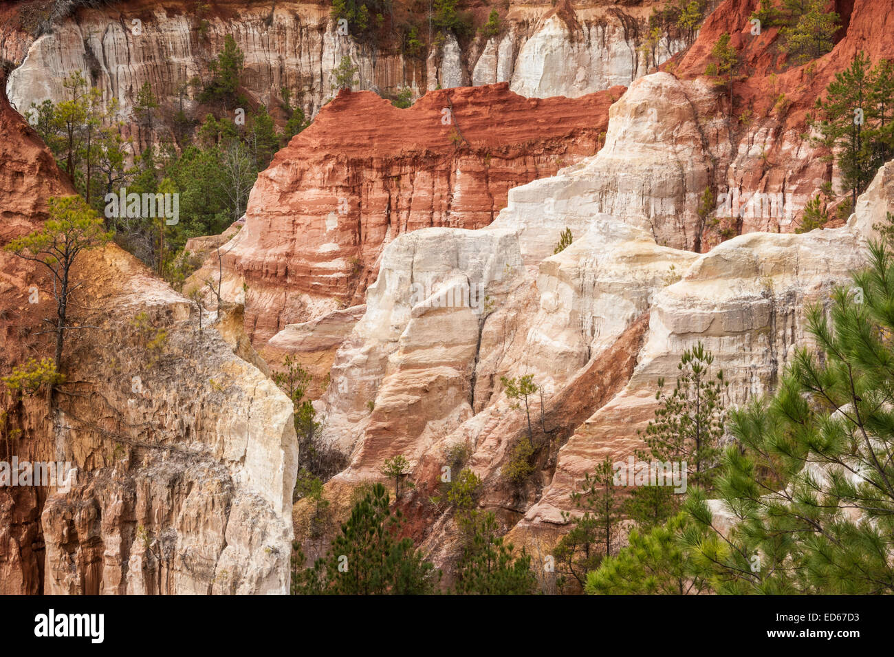 The natural beauty of Providence Canyon, also known as Georgia's 'Little Grand Canyon,' in Lumpkin, Georgia, at Providence Canyon State Park. (USA) Stock Photo