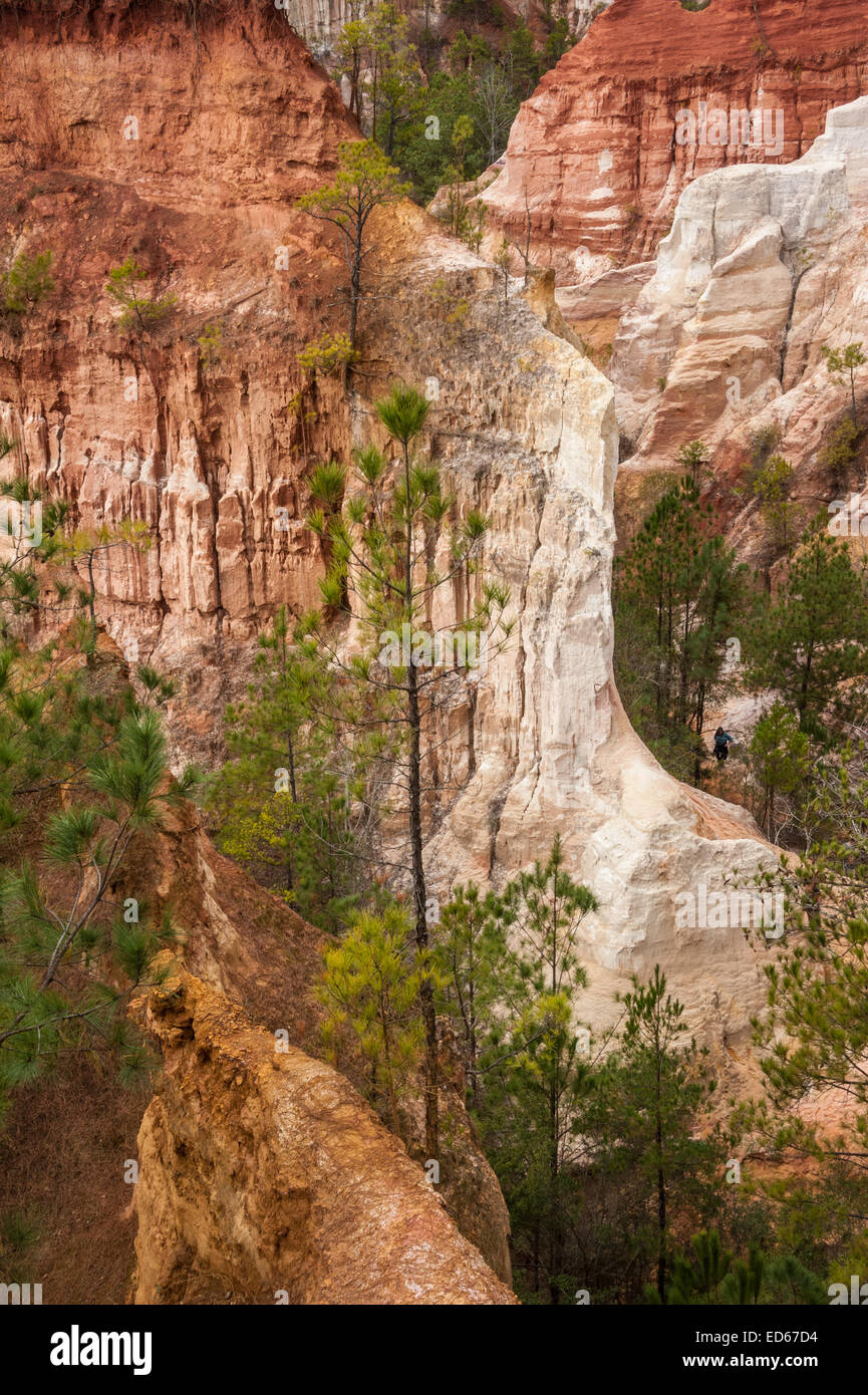 Providence Canyon is a natural wonderland of scenic beauty for hikers at Providence Canyon State Park in Lumpkin, Georgia. (USA) Stock Photo