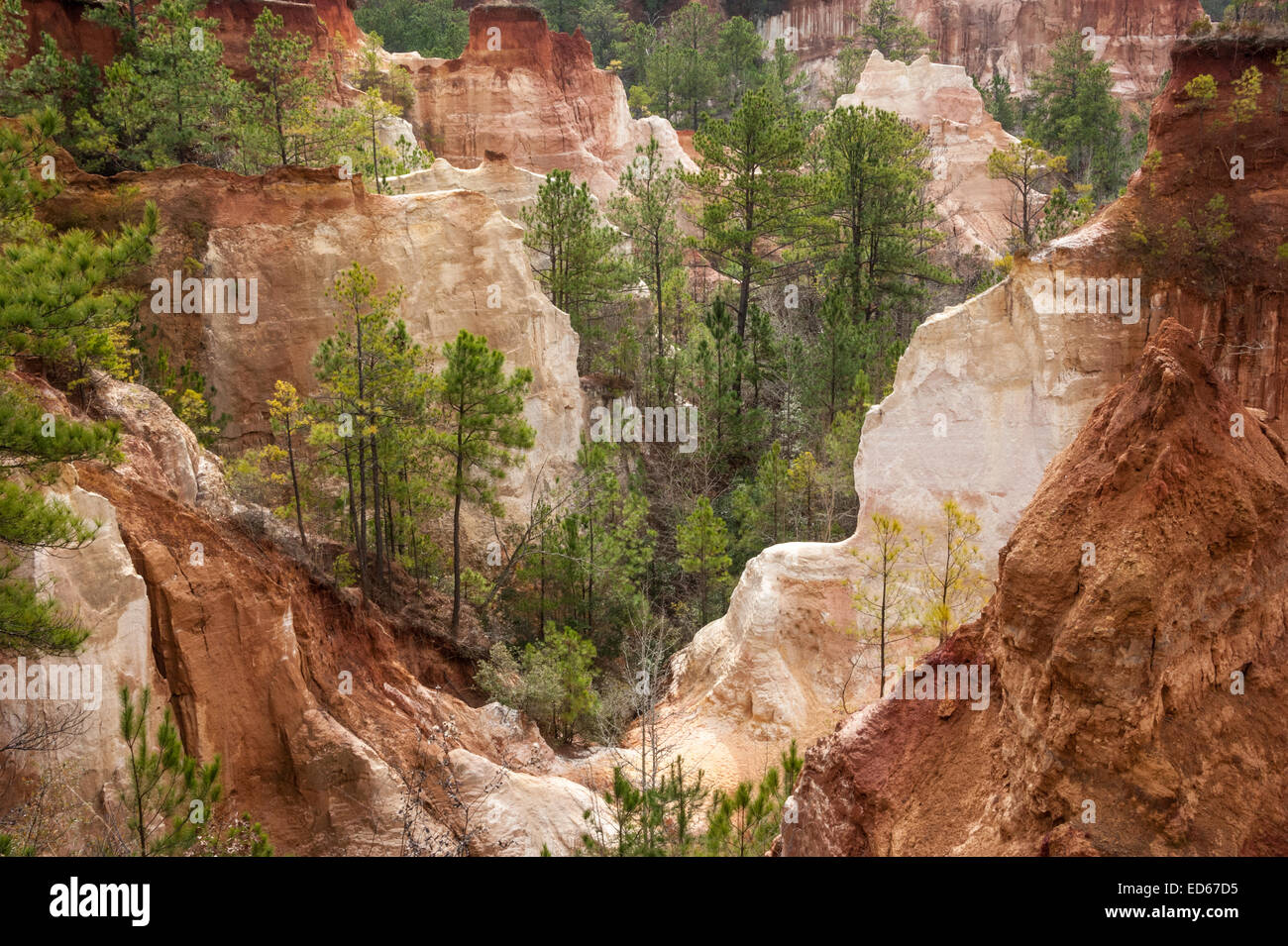 Providence Canyon, also known as 'Little Grand Canyon,' is considered one of the Seven Natural Wonders of Georgia. (USA) Stock Photo