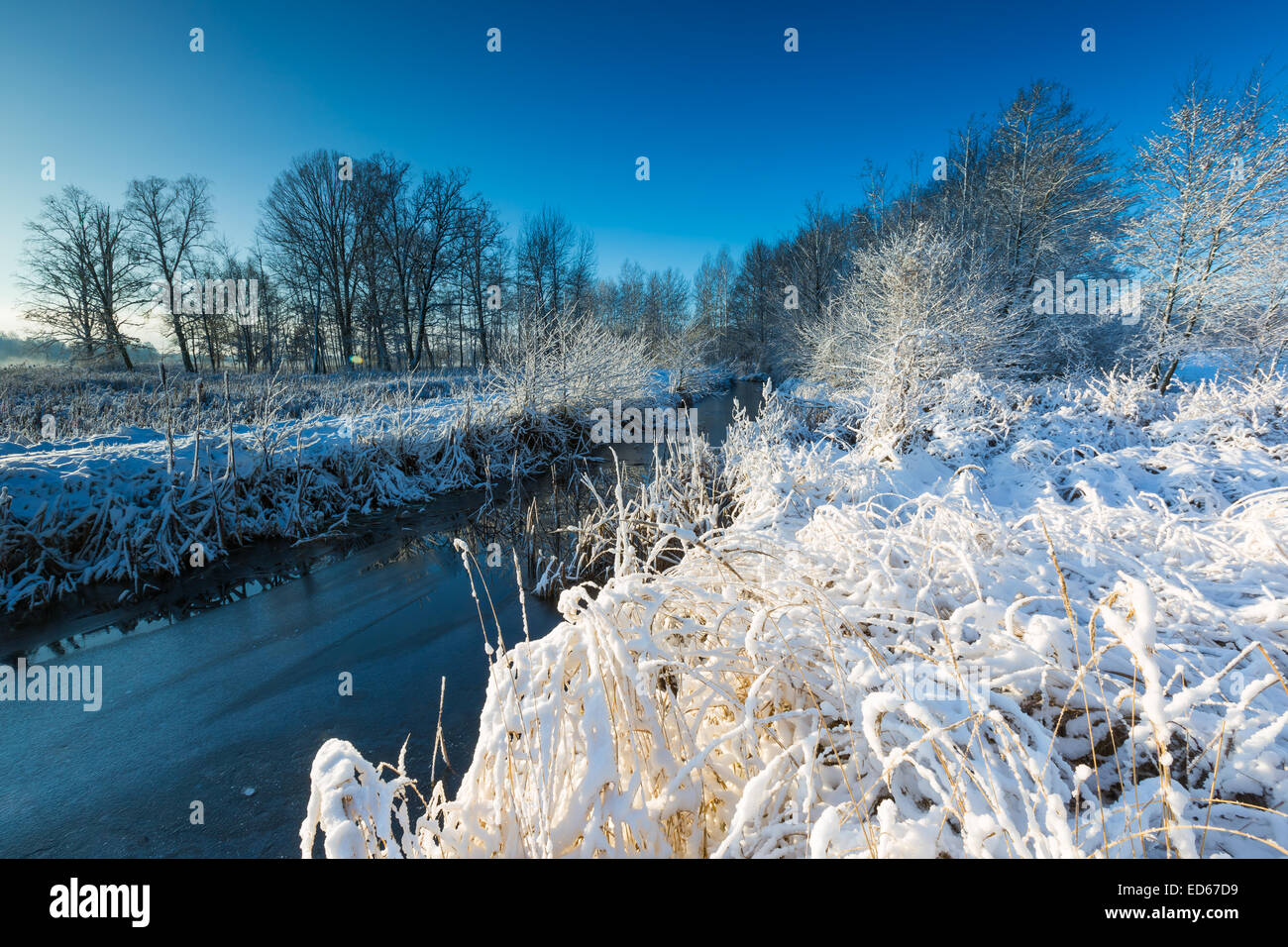 winter landscape with frosted river and plants under snow Stock Photo ...