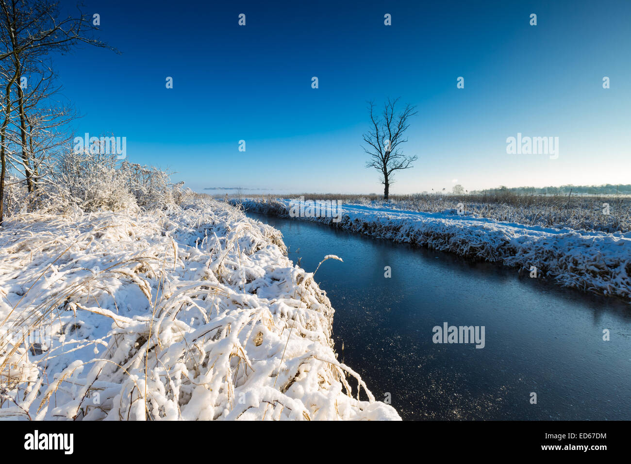 winter landscape with frosted river and plants under snow Stock Photo ...