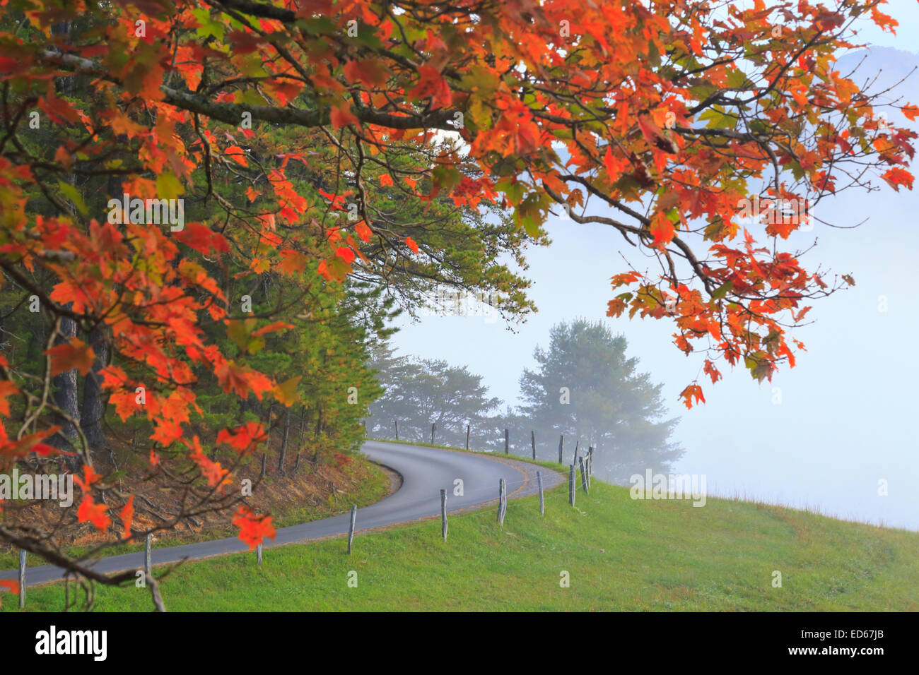 Loop Road, Cades Cove, Great Smoky Mountains National Park, Tennessee, USA Stock Photo