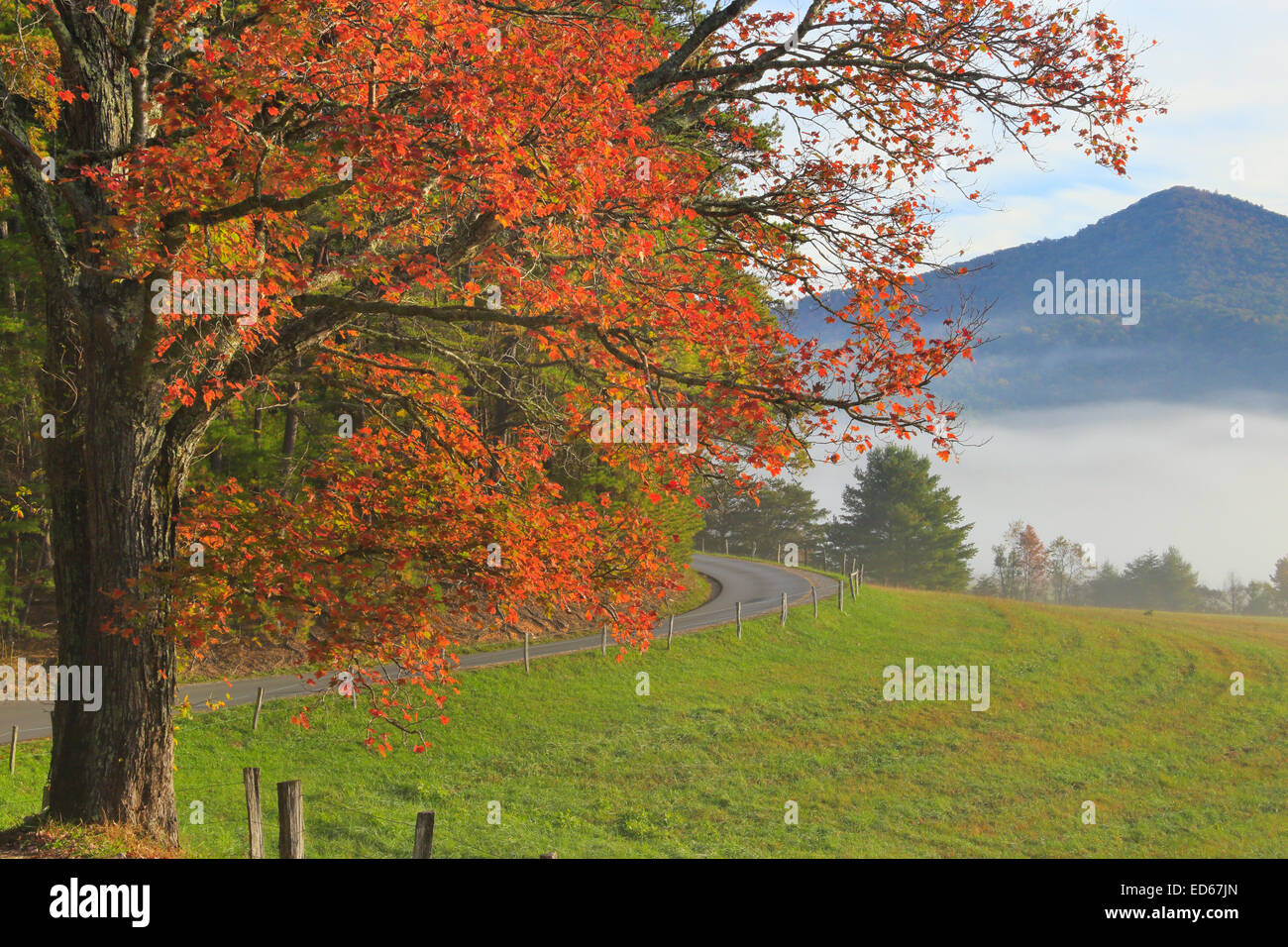 Loop Road, Cades Cove, Great Smoky Mountains National Park, Tennessee, USA Stock Photo