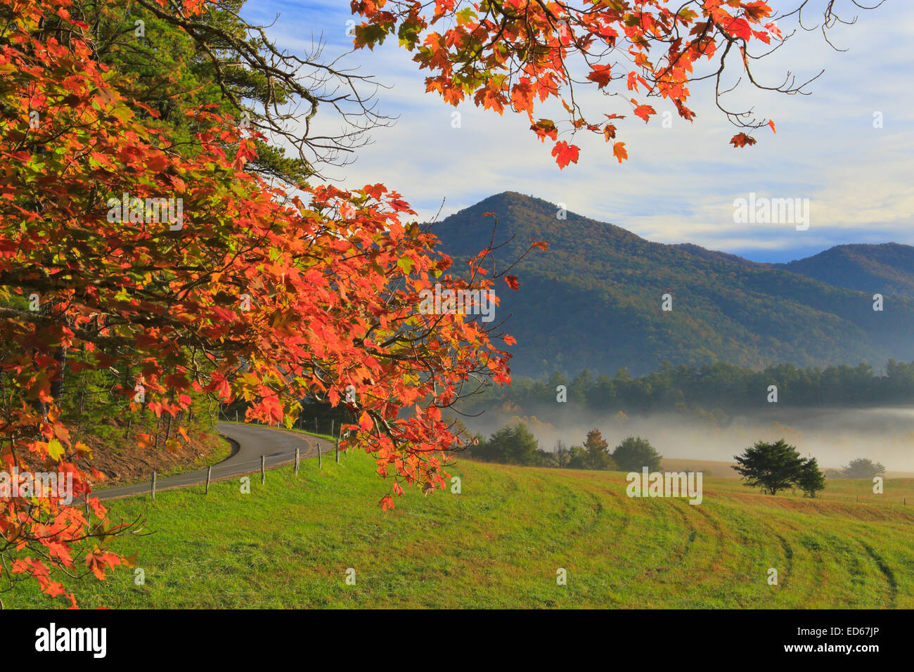 Loop Road, Cades Cove, Great Smoky Mountains National Park, Tennessee, USA Stock Photo