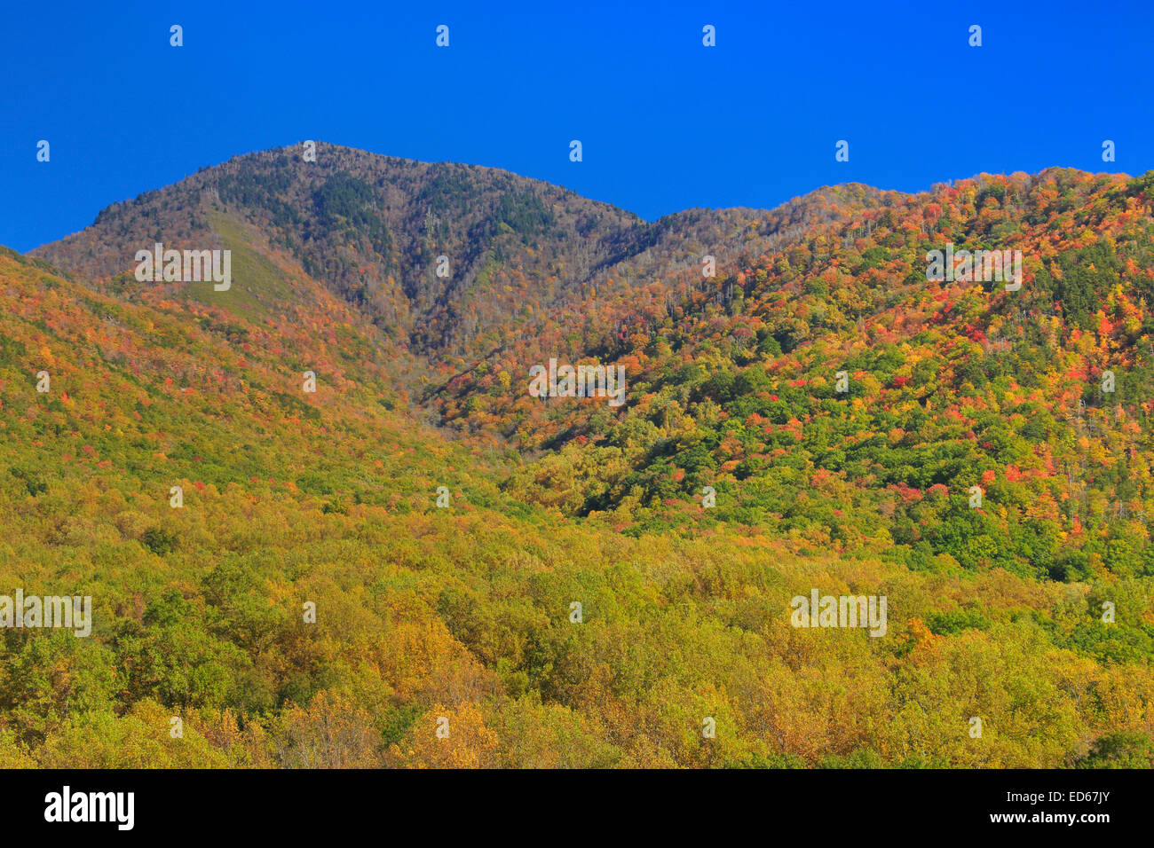 Campbell Overlook, Great Smoky Mountains National Park, Tennessee, USA Stock Photo