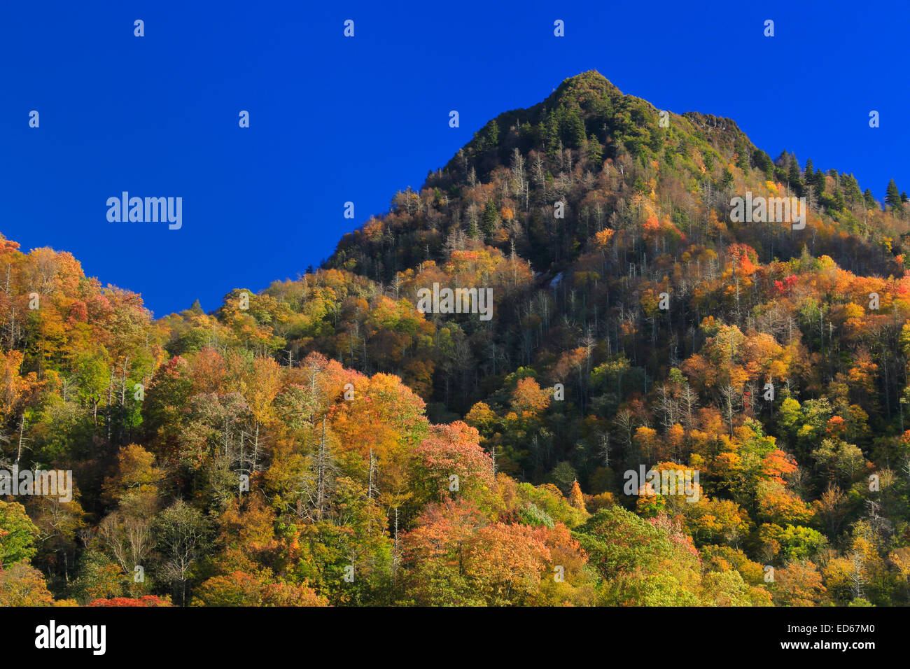 Chimney Tops, Great Smoky Mountains National Park, Tennessee, USA Stock