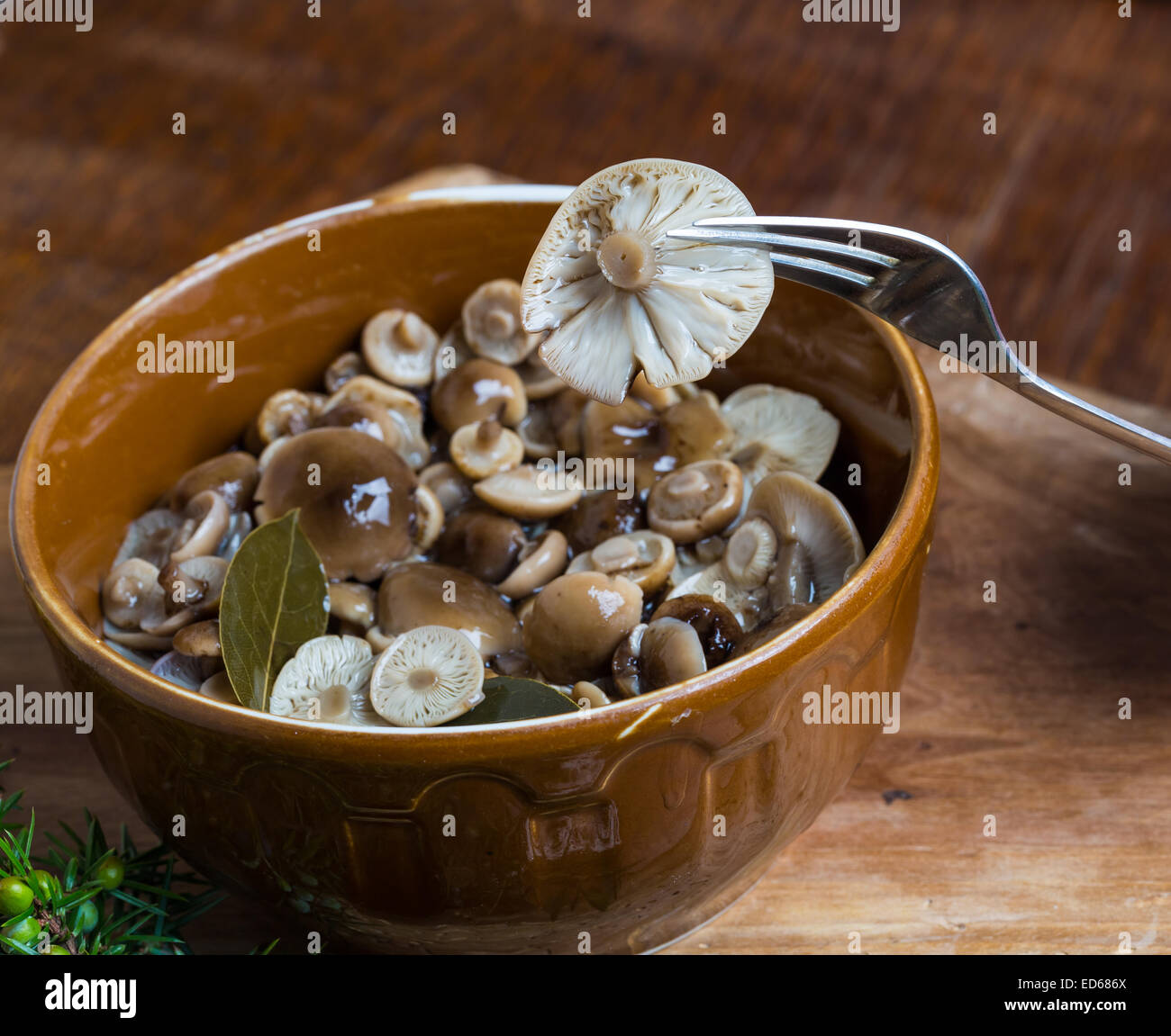 Marinated honey fungus Stock Photo