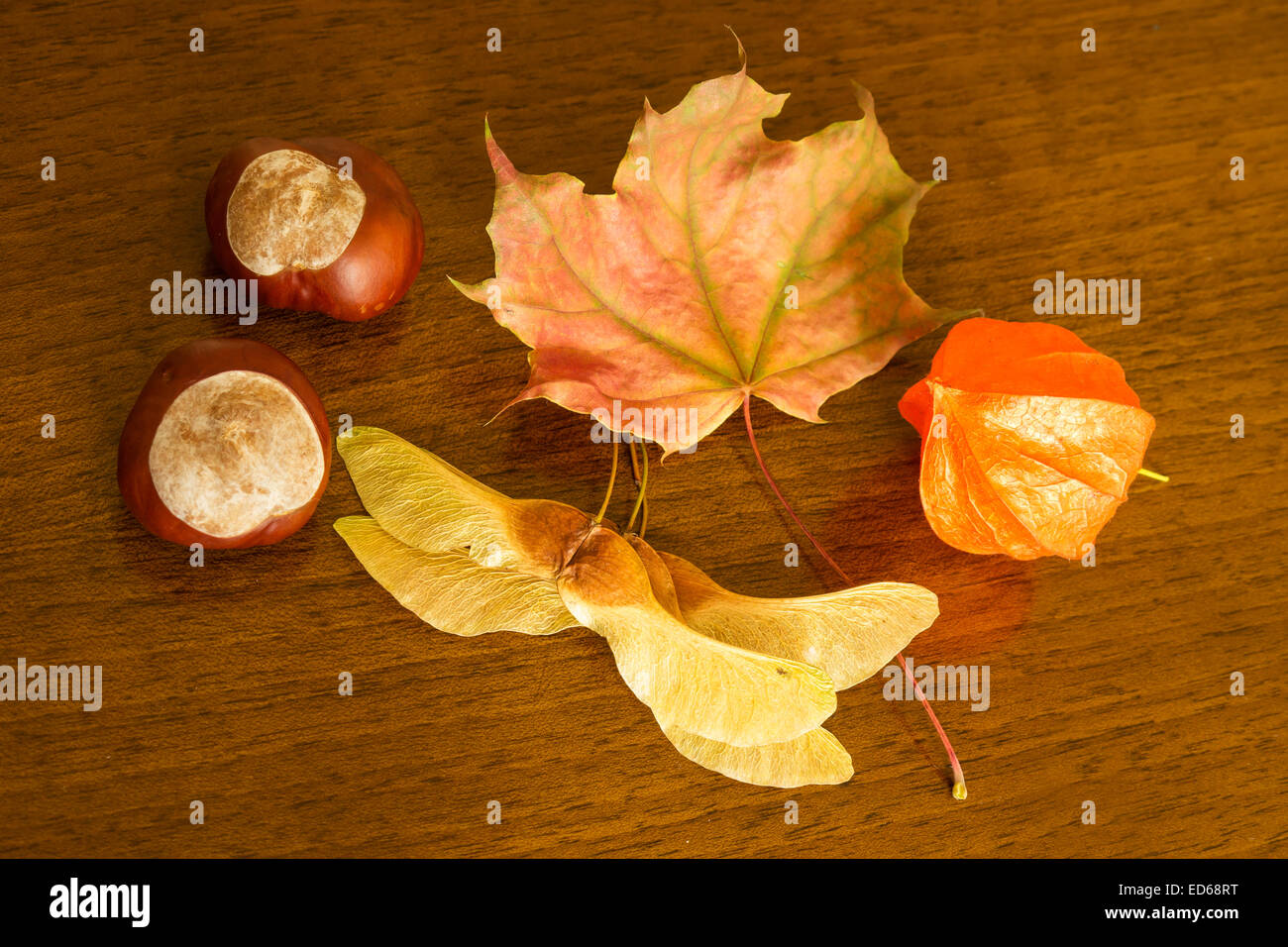 leaf, chestnut, physalis on wood table Stock Photo
