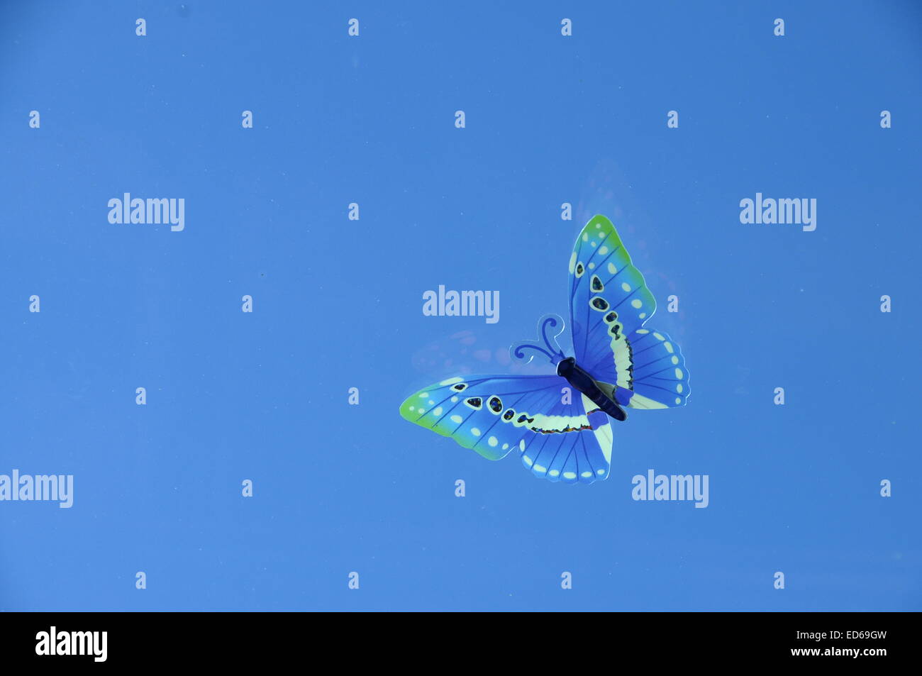 Blue Fake butterfly on blue sky background Stock Photo Alamy