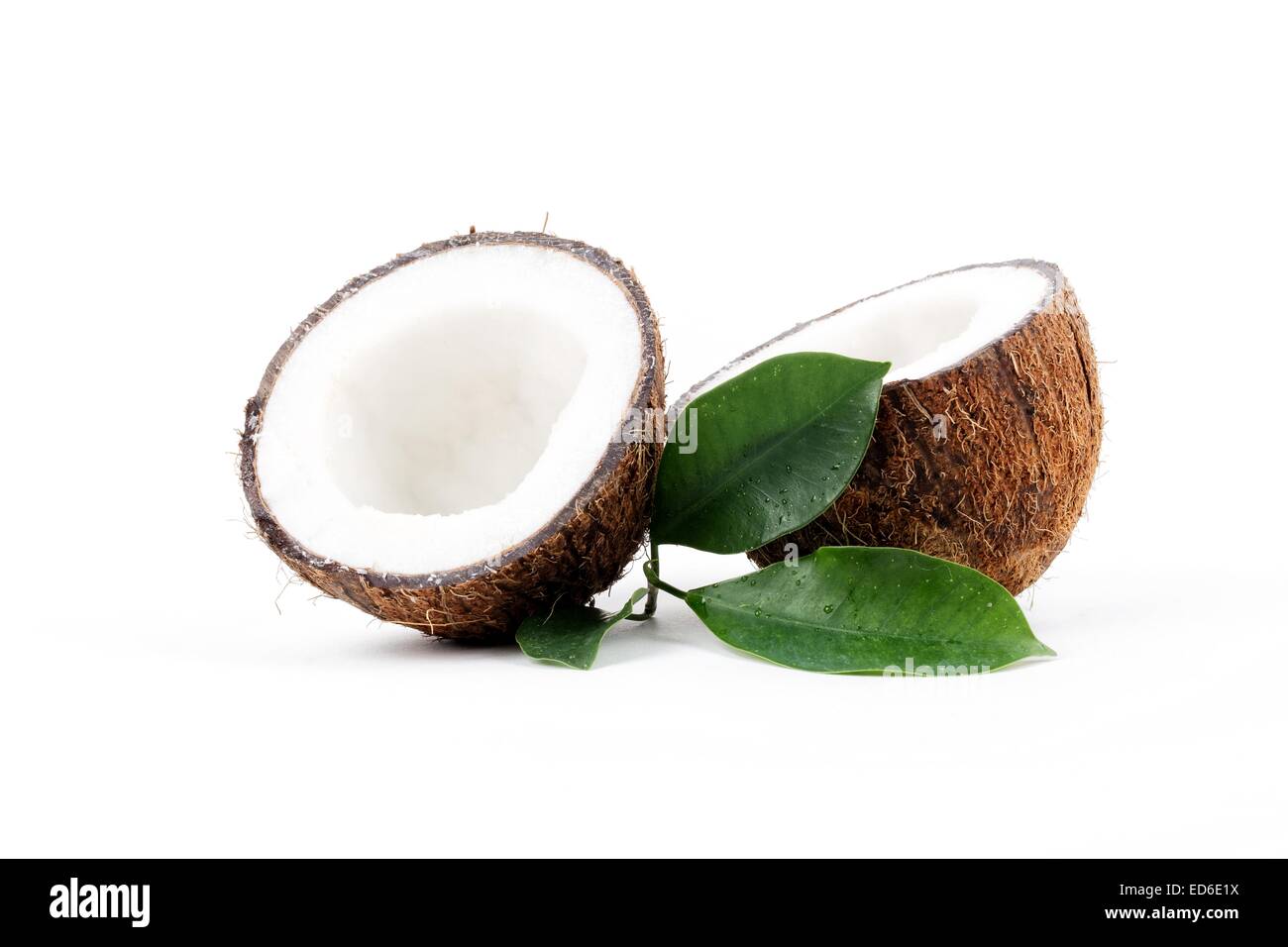 Coconut with leaves on a white background Stock Photo