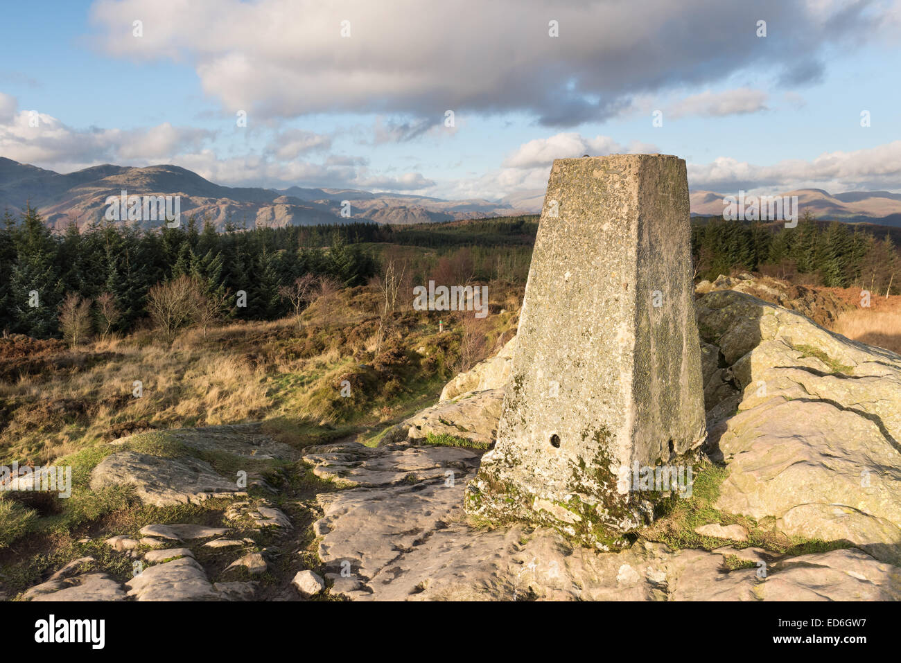 Summit trig point on Carron Crag, Grizedale Forest, English Lake District national park. Stock Photo