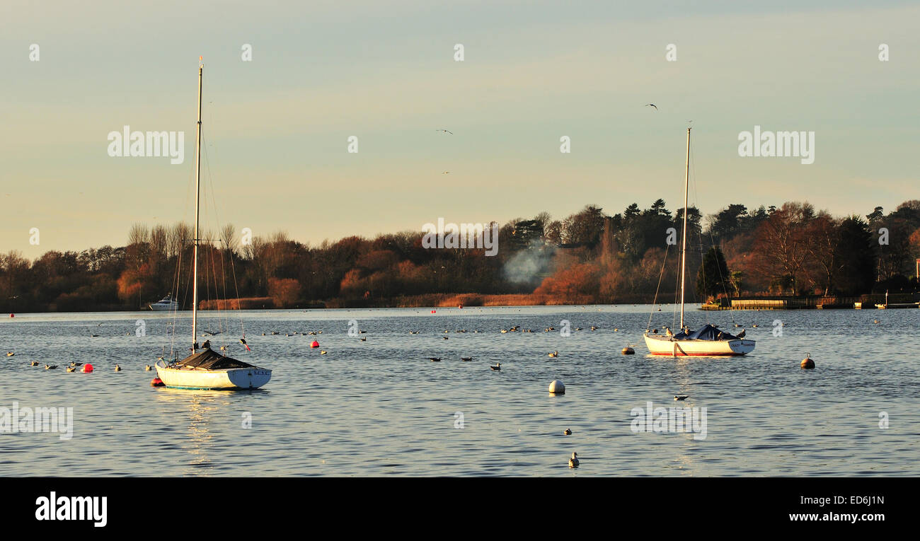 Boats on water oulton broad hires stock photography and images Alamy