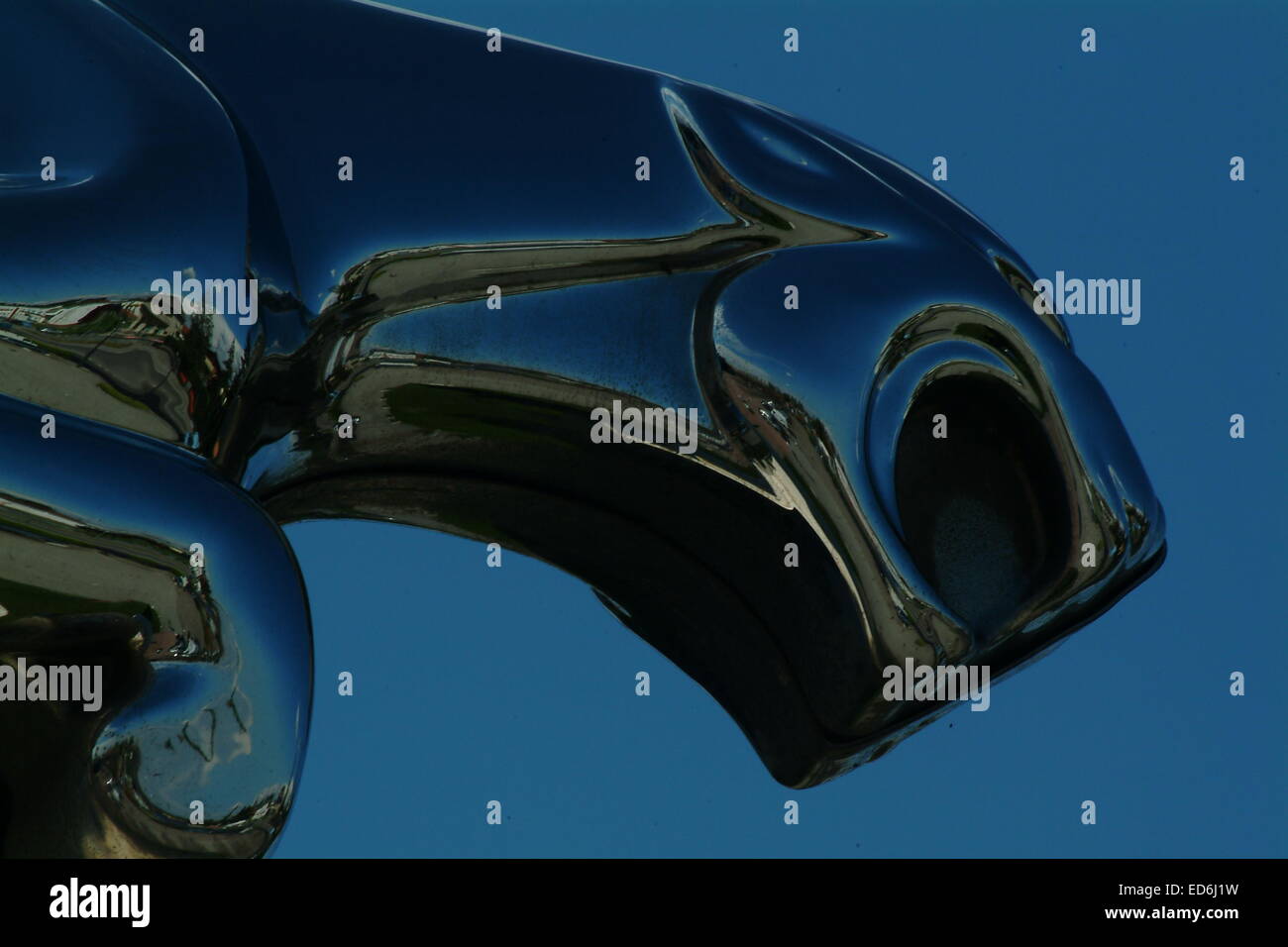 Jaguar Motors emblem, metal hood ornament Stock Photo Alamy