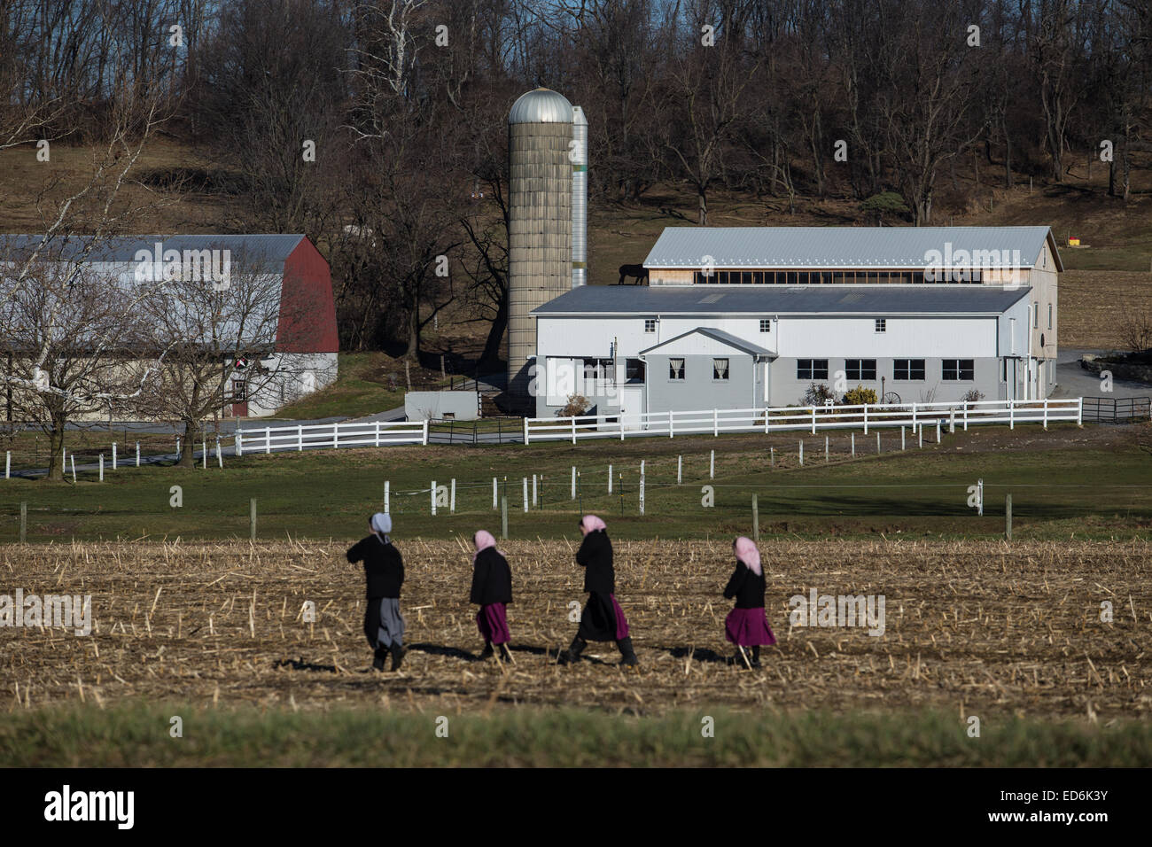 Amish girls walk through a winter field in Lancaster County, PA Stock Photo